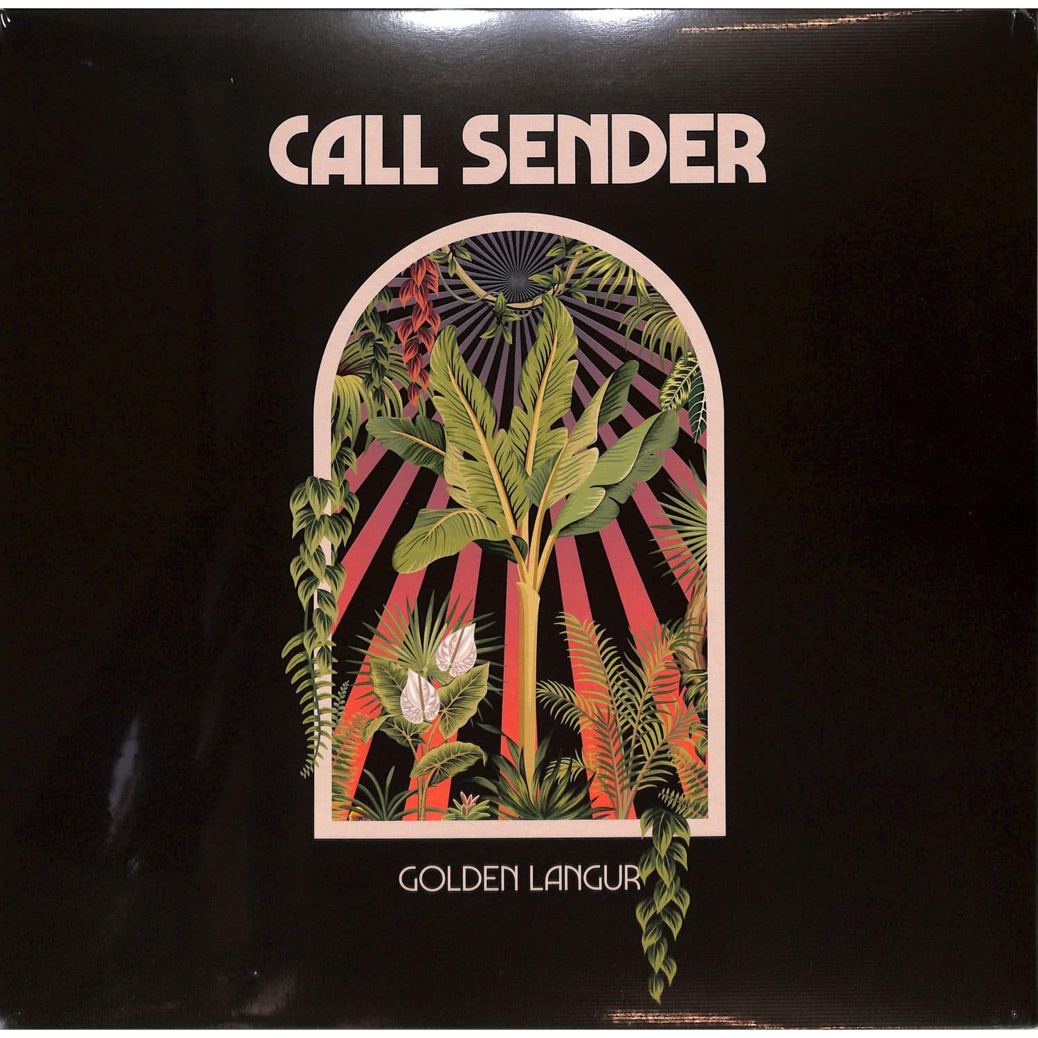 Call Sender - GOLDEN LANGUR