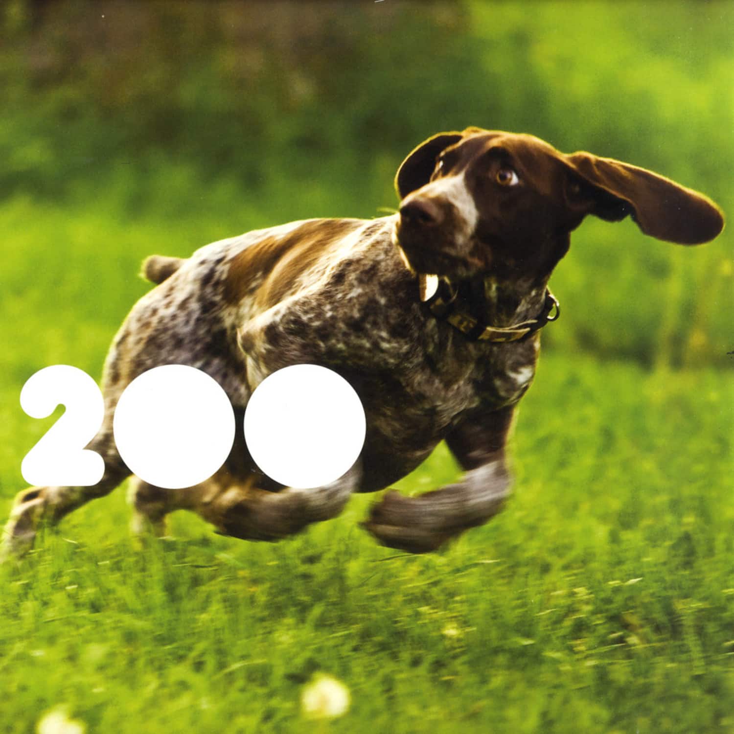 Various Artists - 200