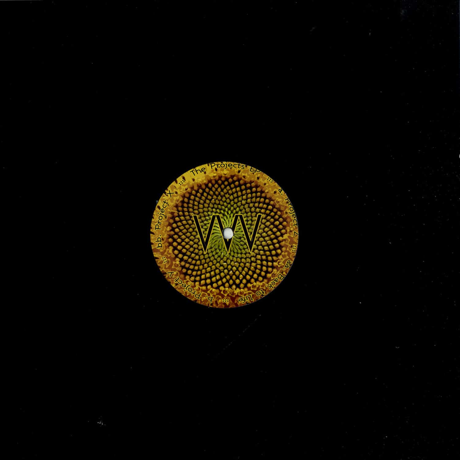 VVV - The Projects EP