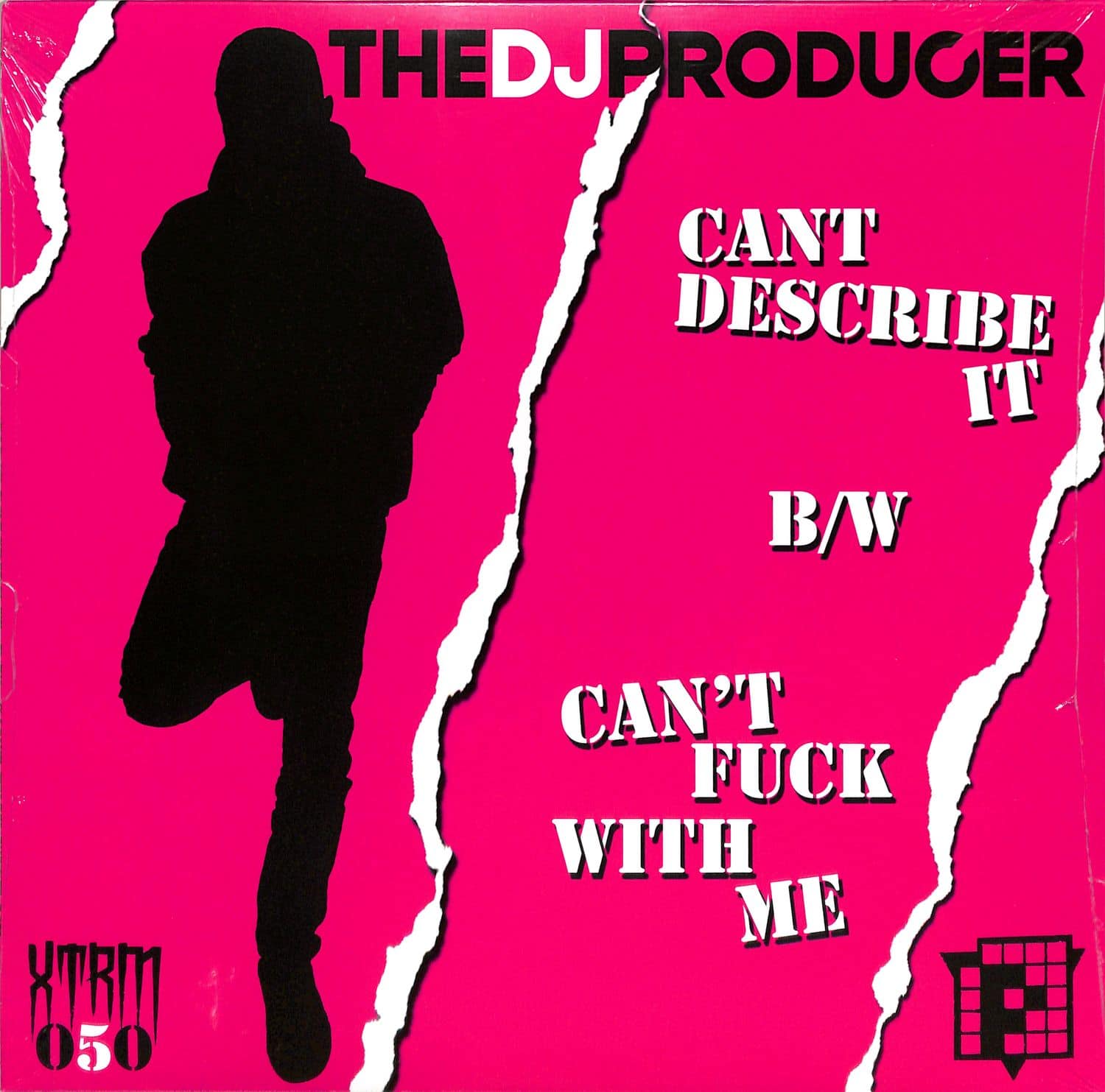 The DJ Producer - CANT DESCRIBE IT 