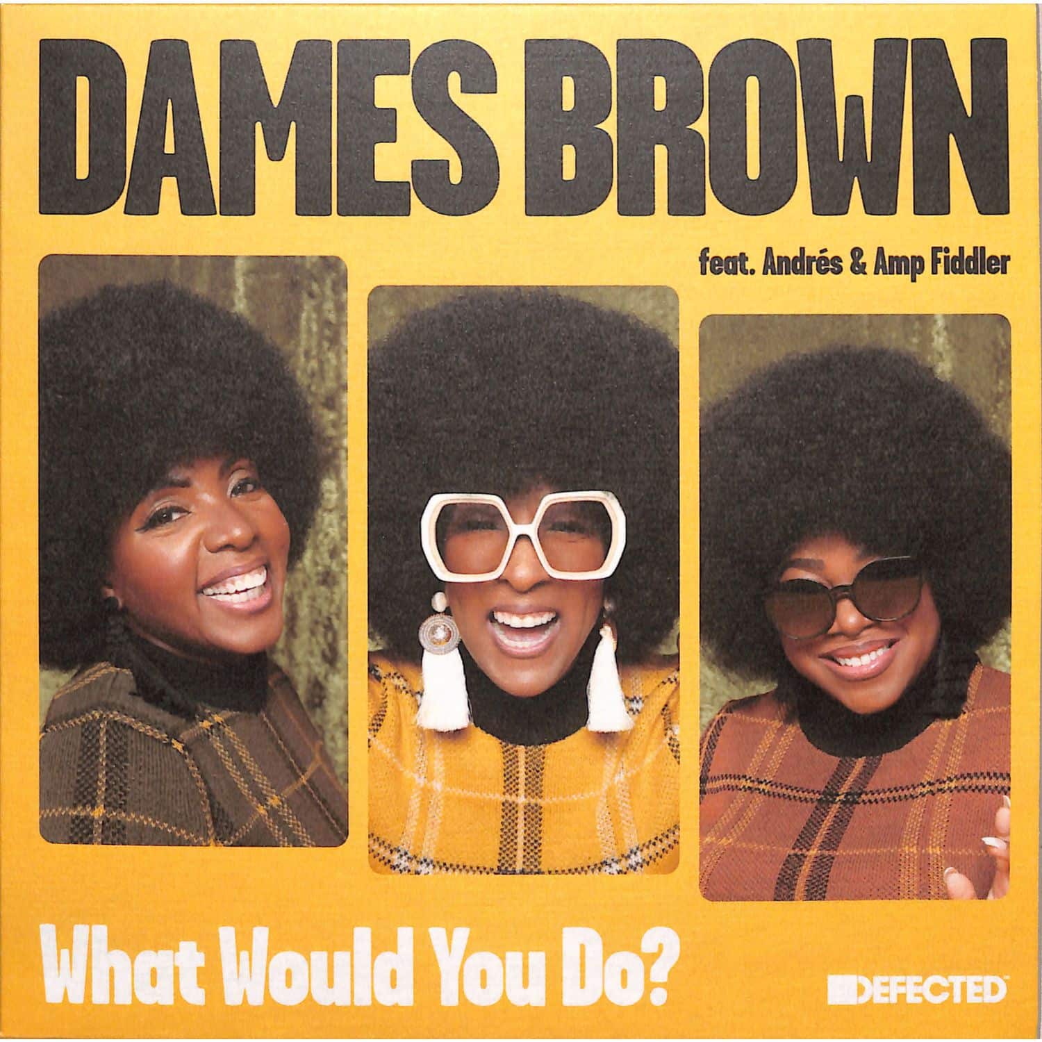 Dames Brown Featuring Andres & Amp Fiddler - WHAT WOULD YOU DO ? 