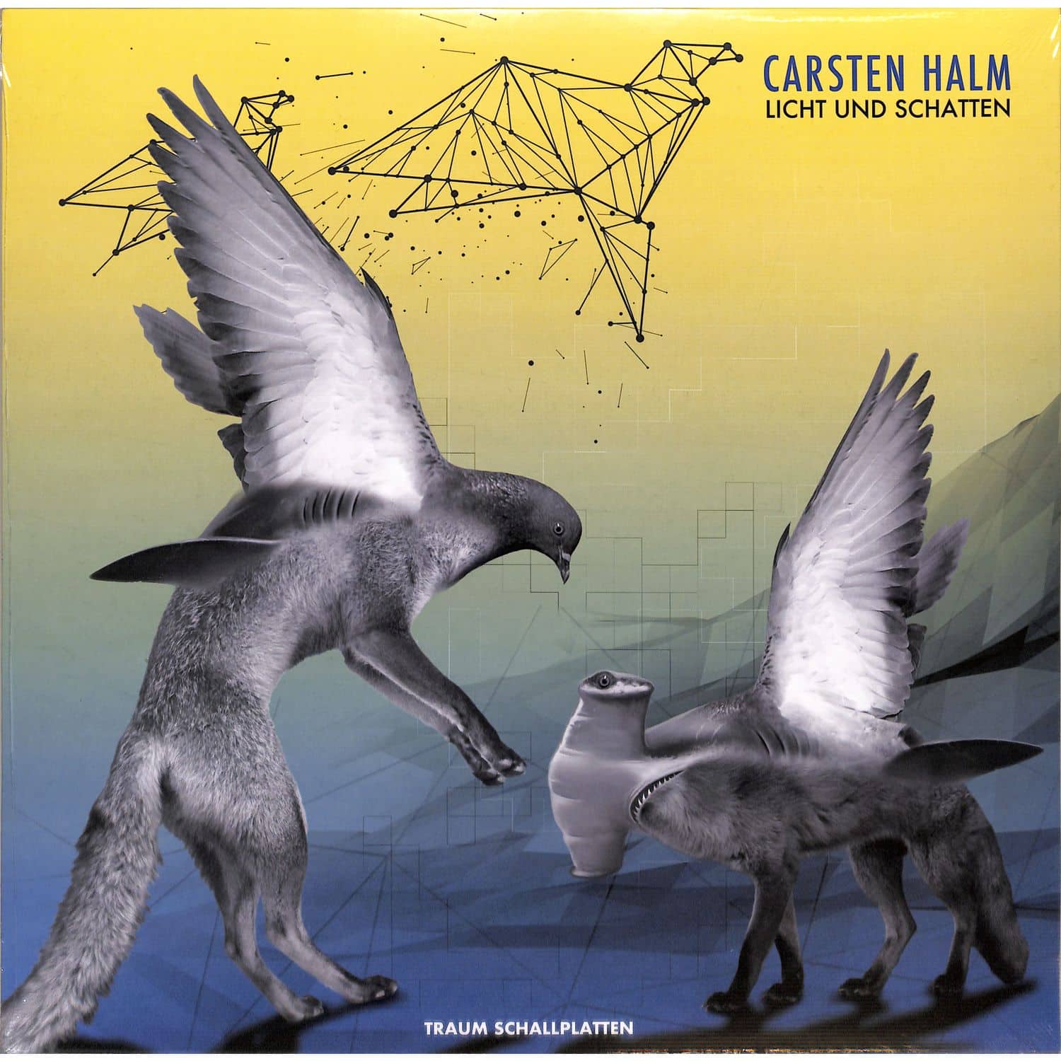 Carsten Halm - LICHT UND SCHATTEN