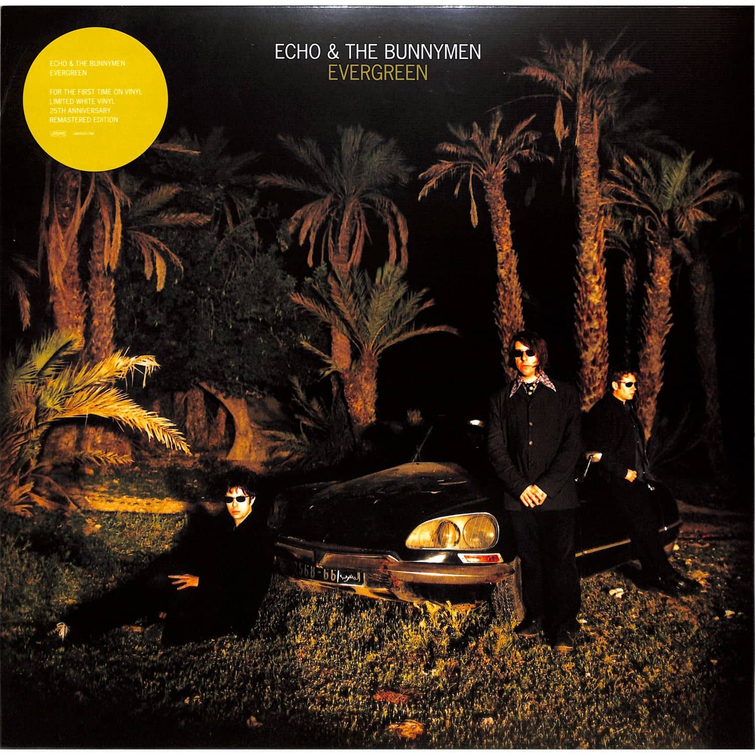 Echo & The Bunnymen - EVERGREEN 