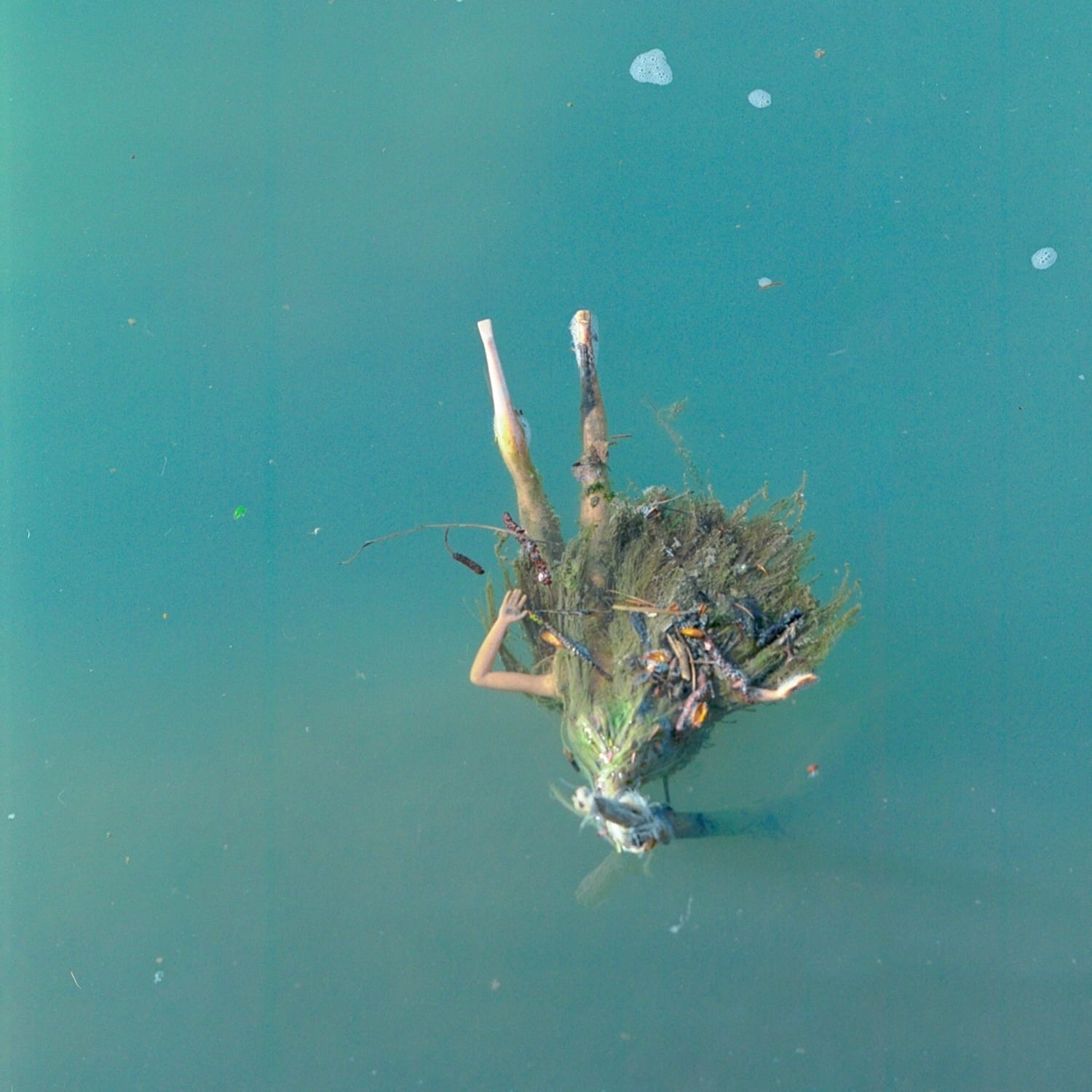 Manic Youth - FUNLAND 