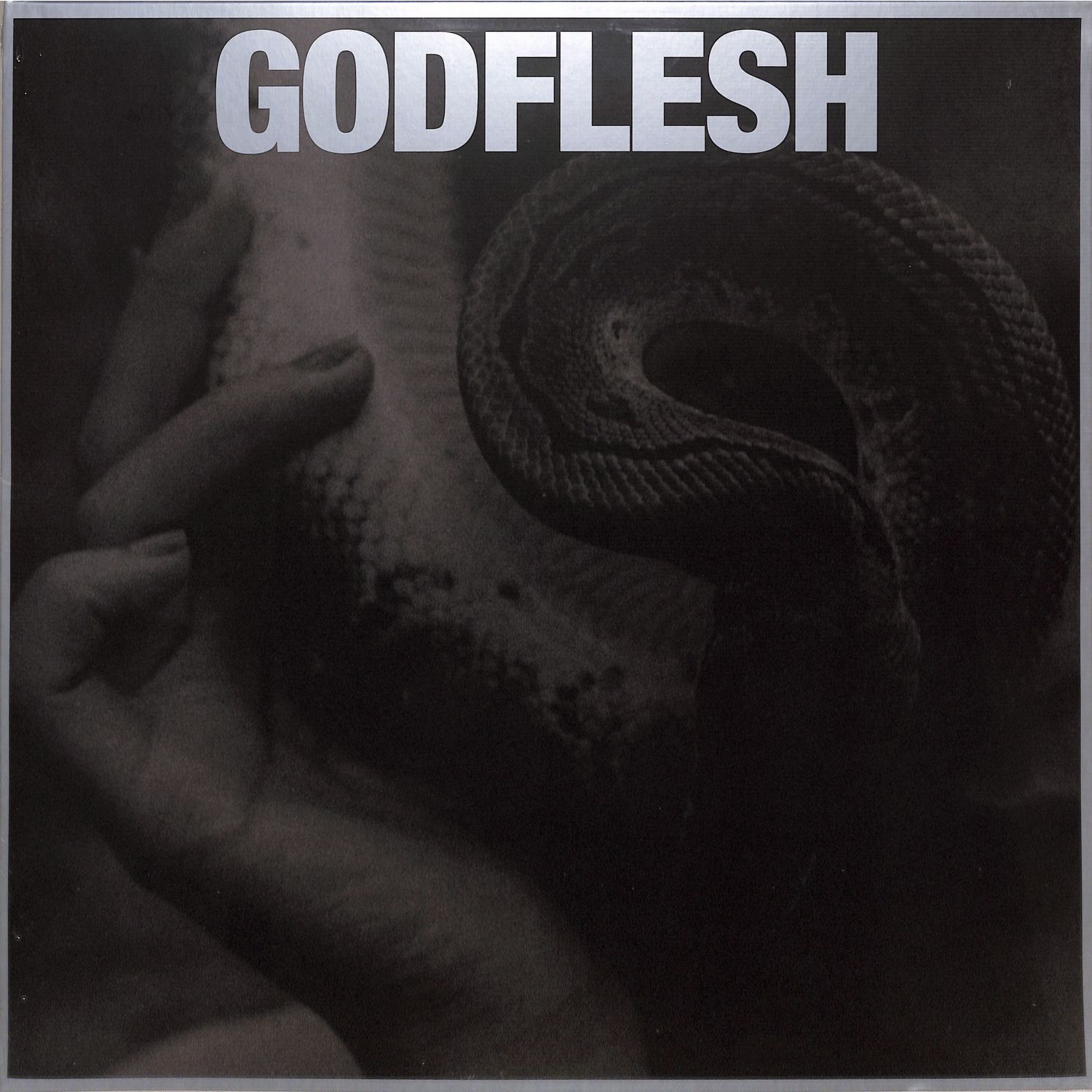 Godflesh - PURGE 