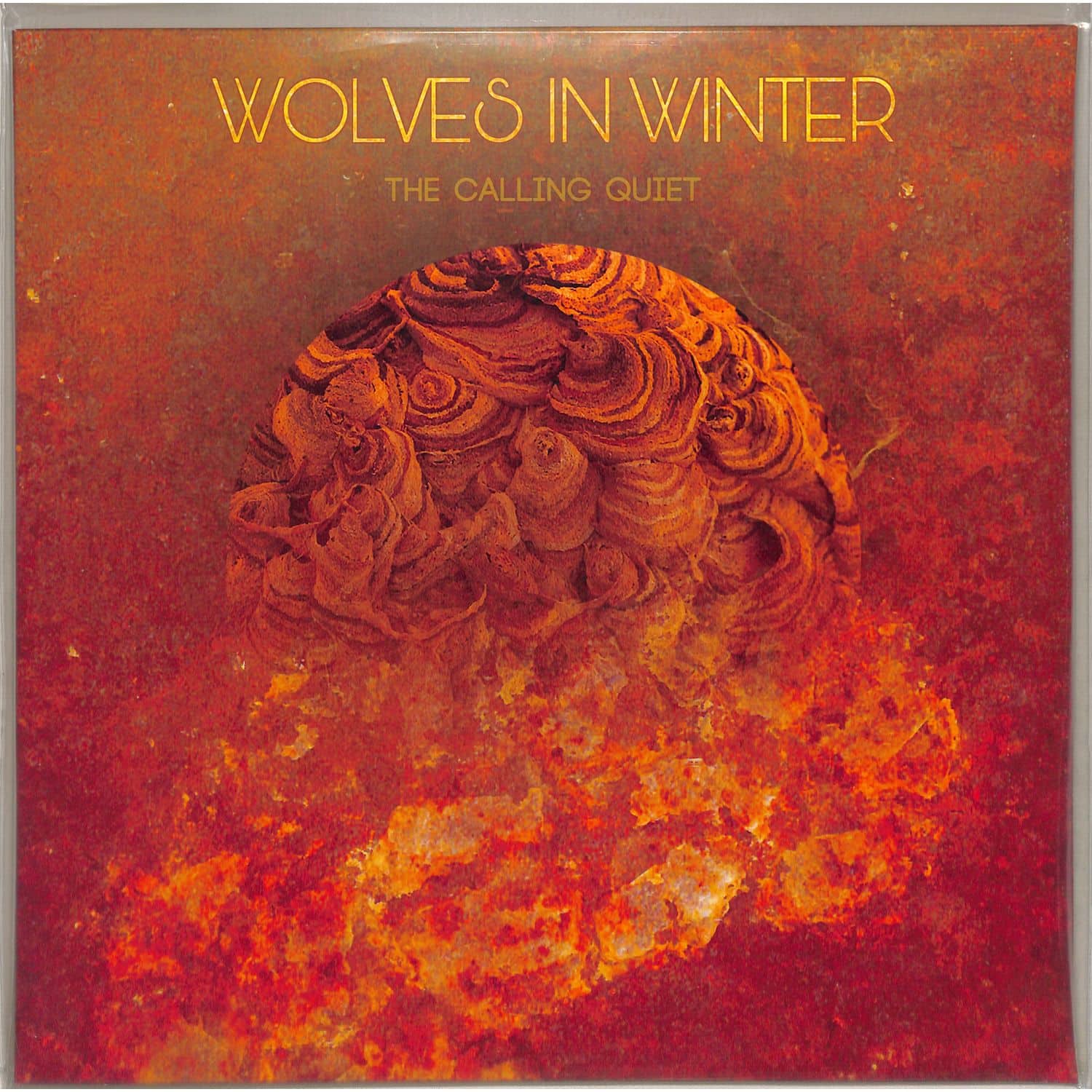 Wolves In Winter - THE CALLING QUIET 