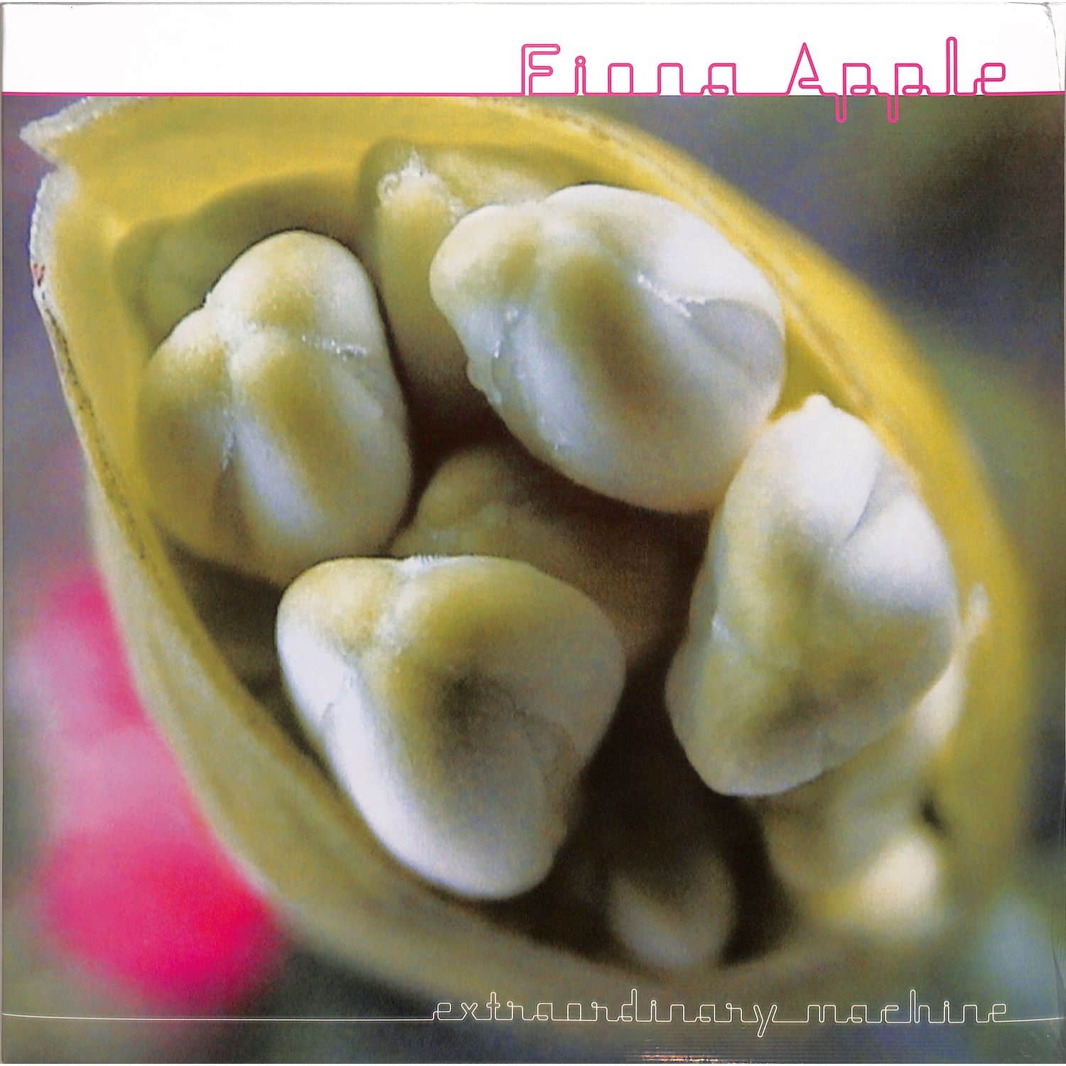 Fiona Apple - EXTRAORDINARY MACHINE 