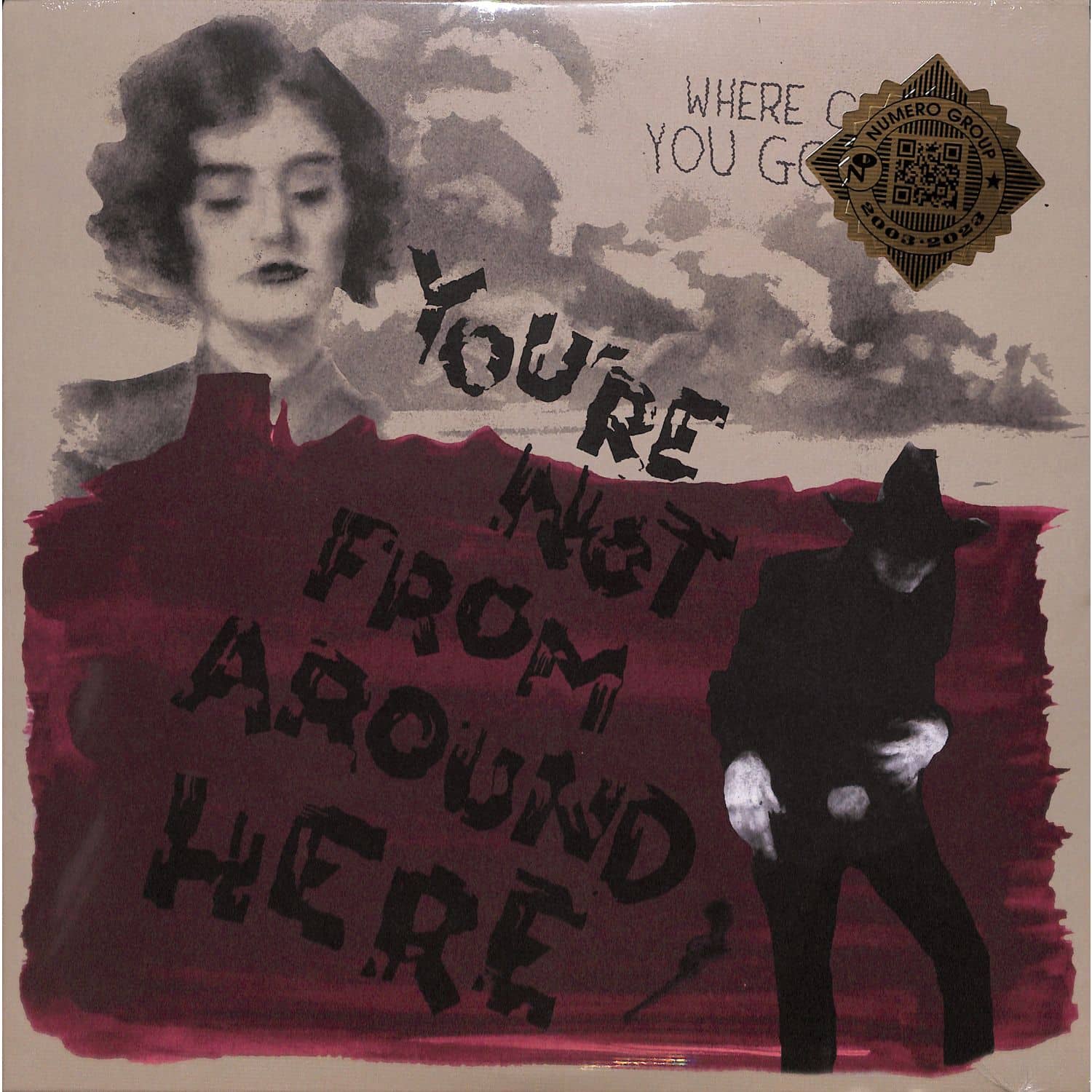 Various Artists - YOU RE NOT FROM AROUND HERE 