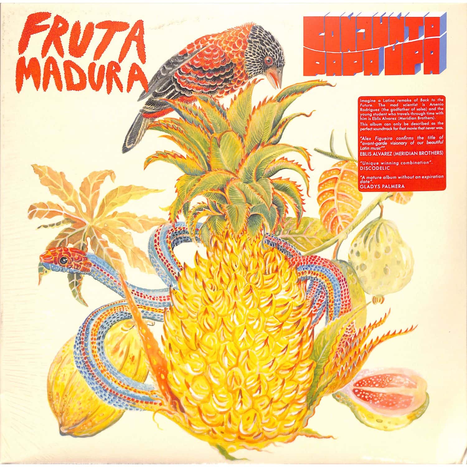 Conjunto Papa Upa - FRUTA MADURA 