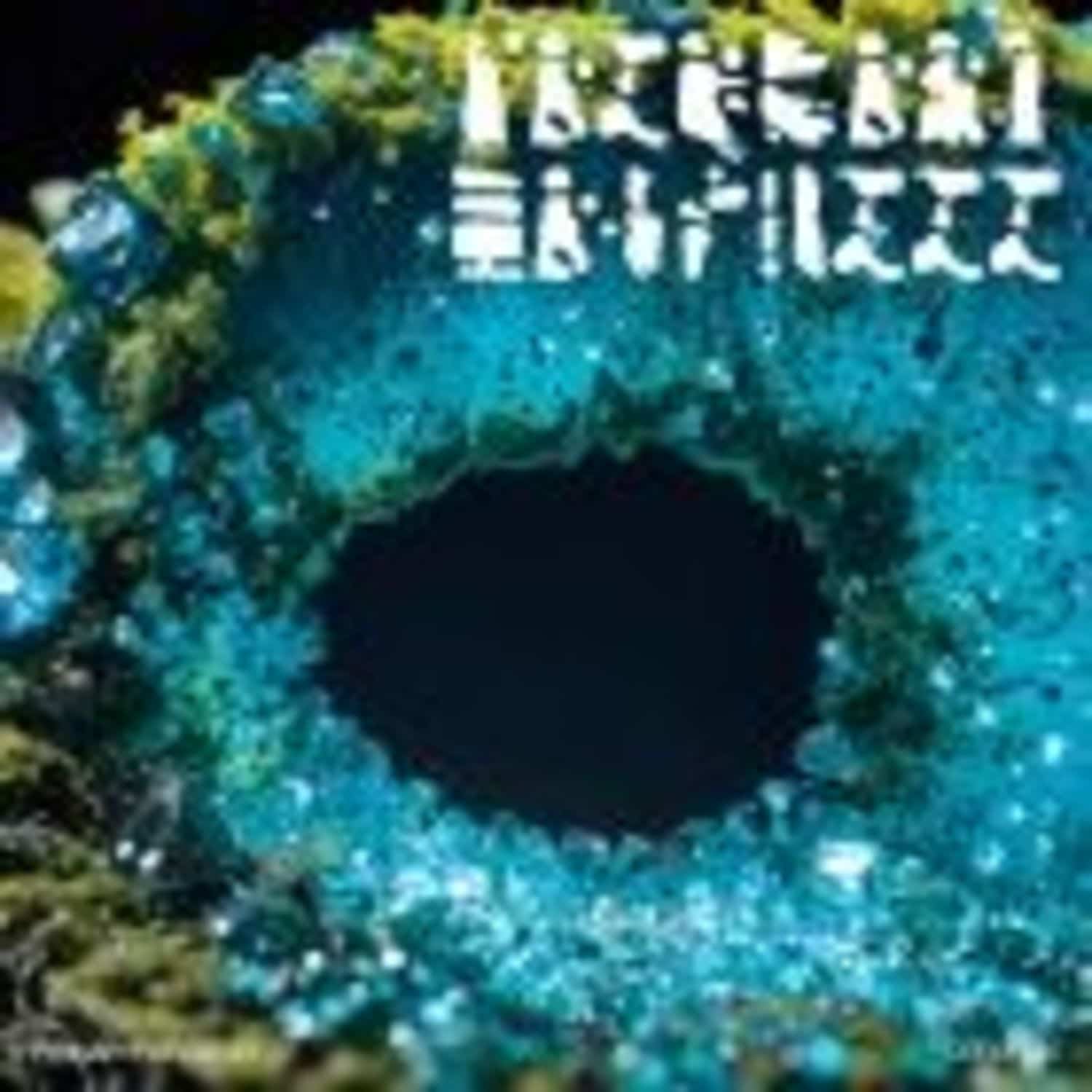 Various Artists - PRIMARY FOREST 03