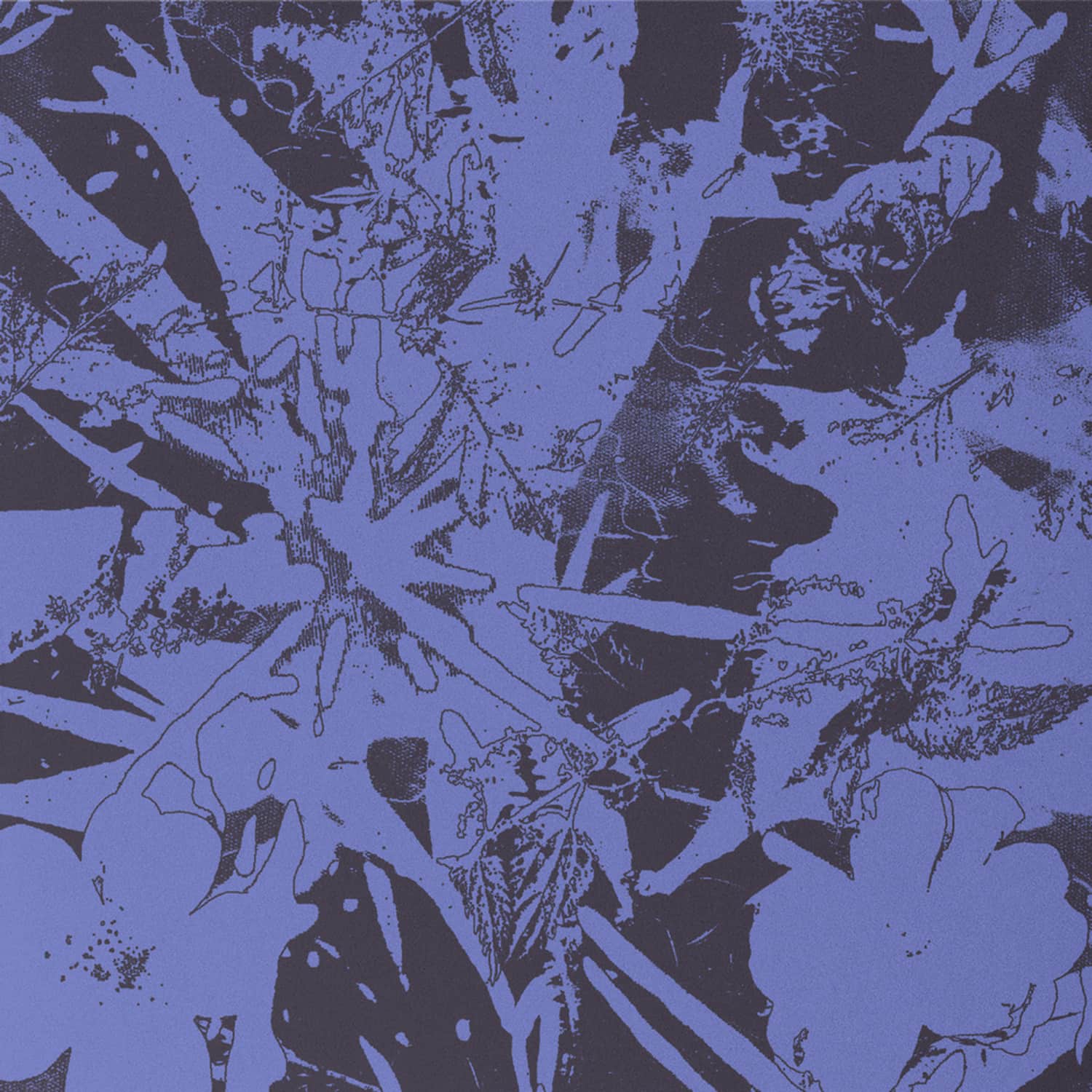 Plants Heal - FOREST DWELLERS 