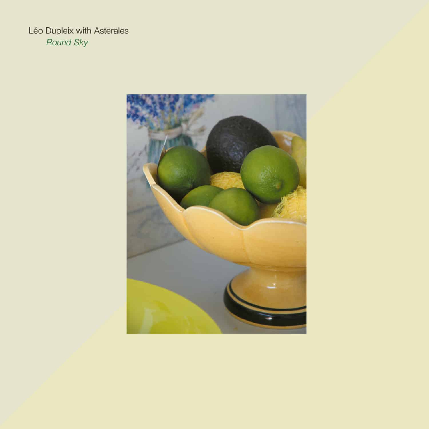 Leo Dupleix With Asterales - ROUND SKY 