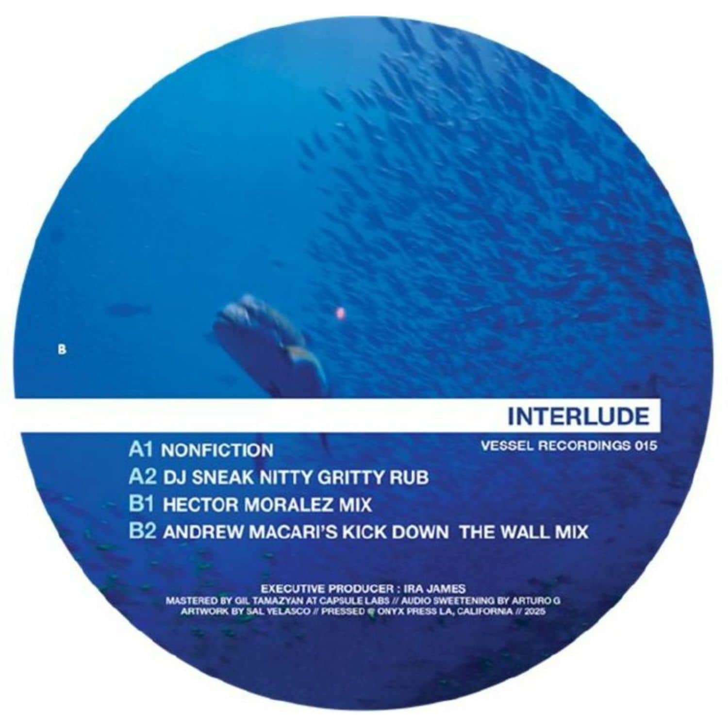 Nonfiction / DJ Sneak / Hector Moralez / Andrew Macari - INTERLUDE MIXES