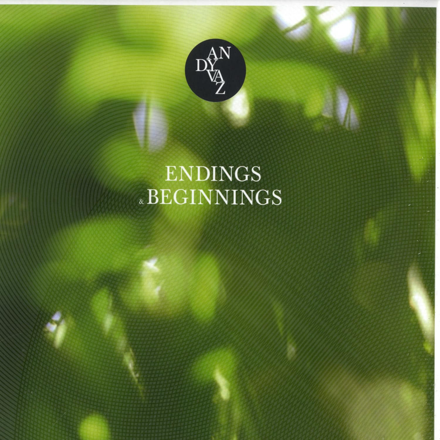 Andy Vaz - ENDINGS & BEGINNINGS