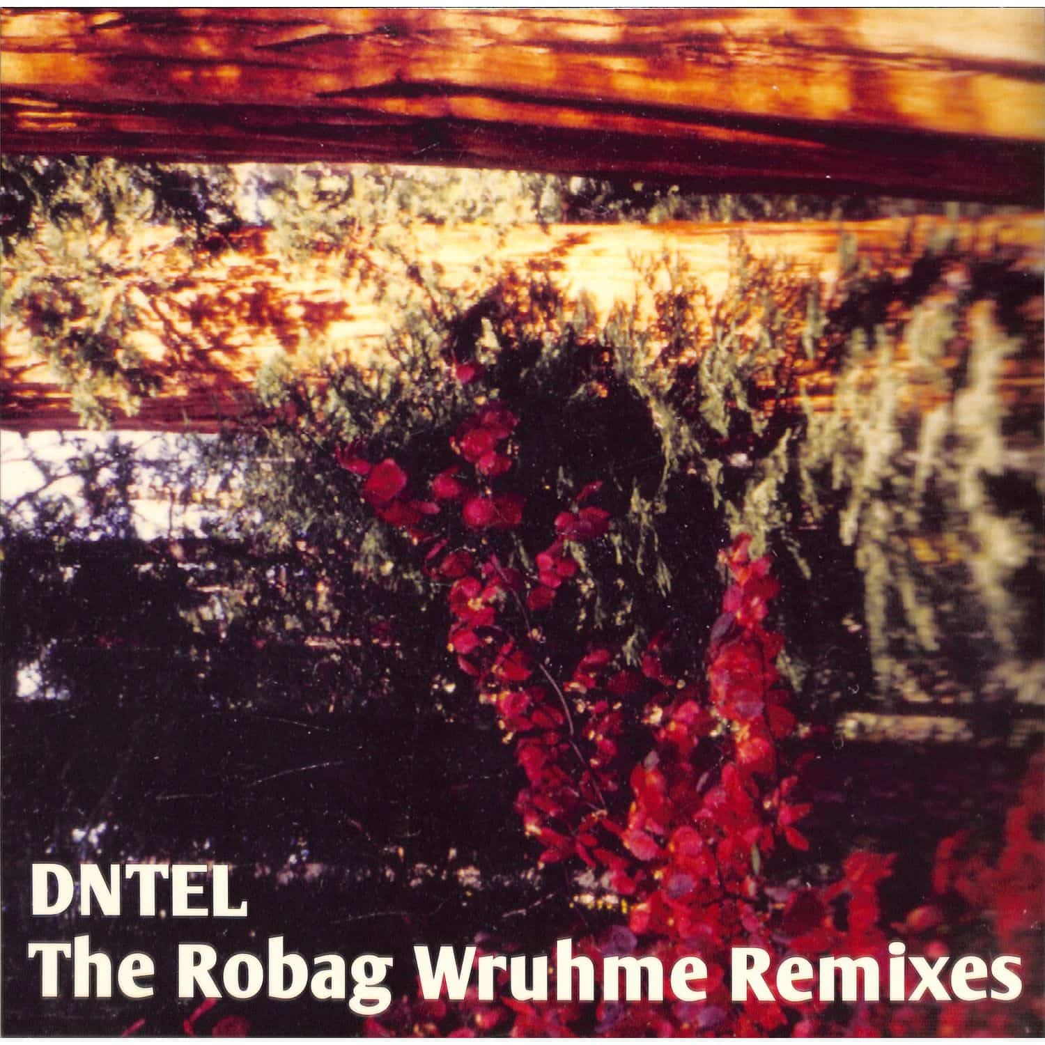 Dntel - THE ROBAG WRUHME REMIXES