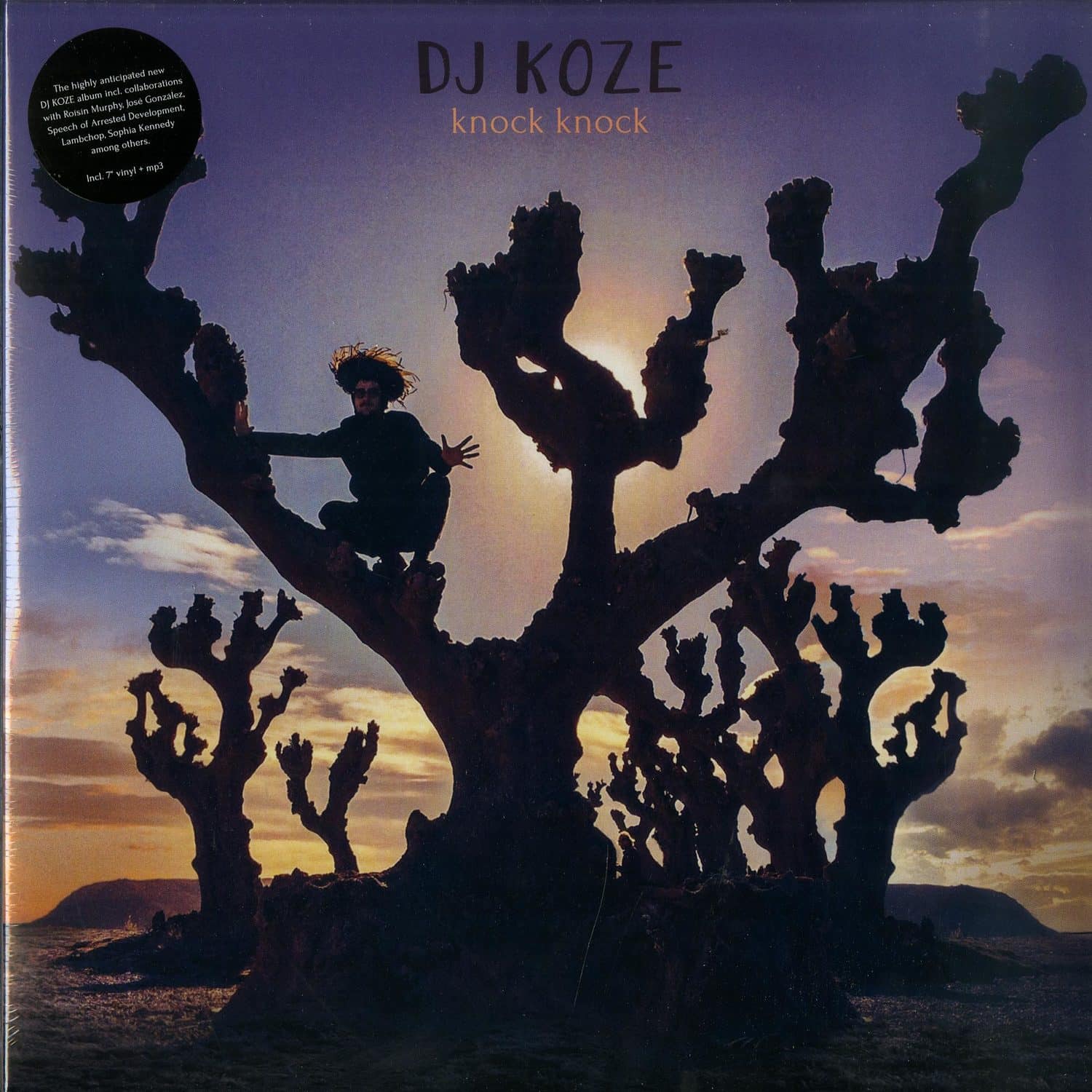 DJ Koze - KNOCK KNOCK 