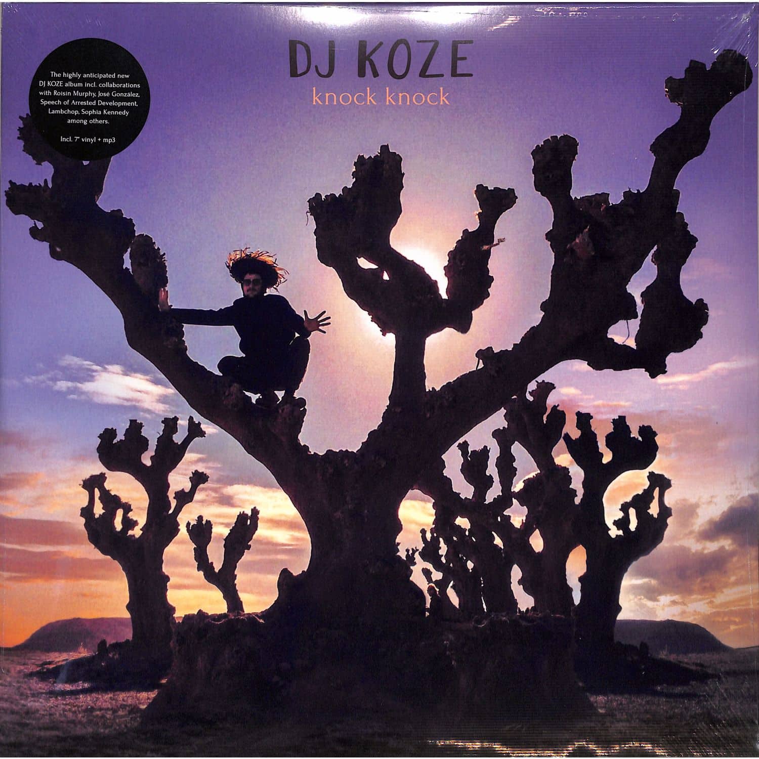 DJ Koze - KNOCK KNOCK 