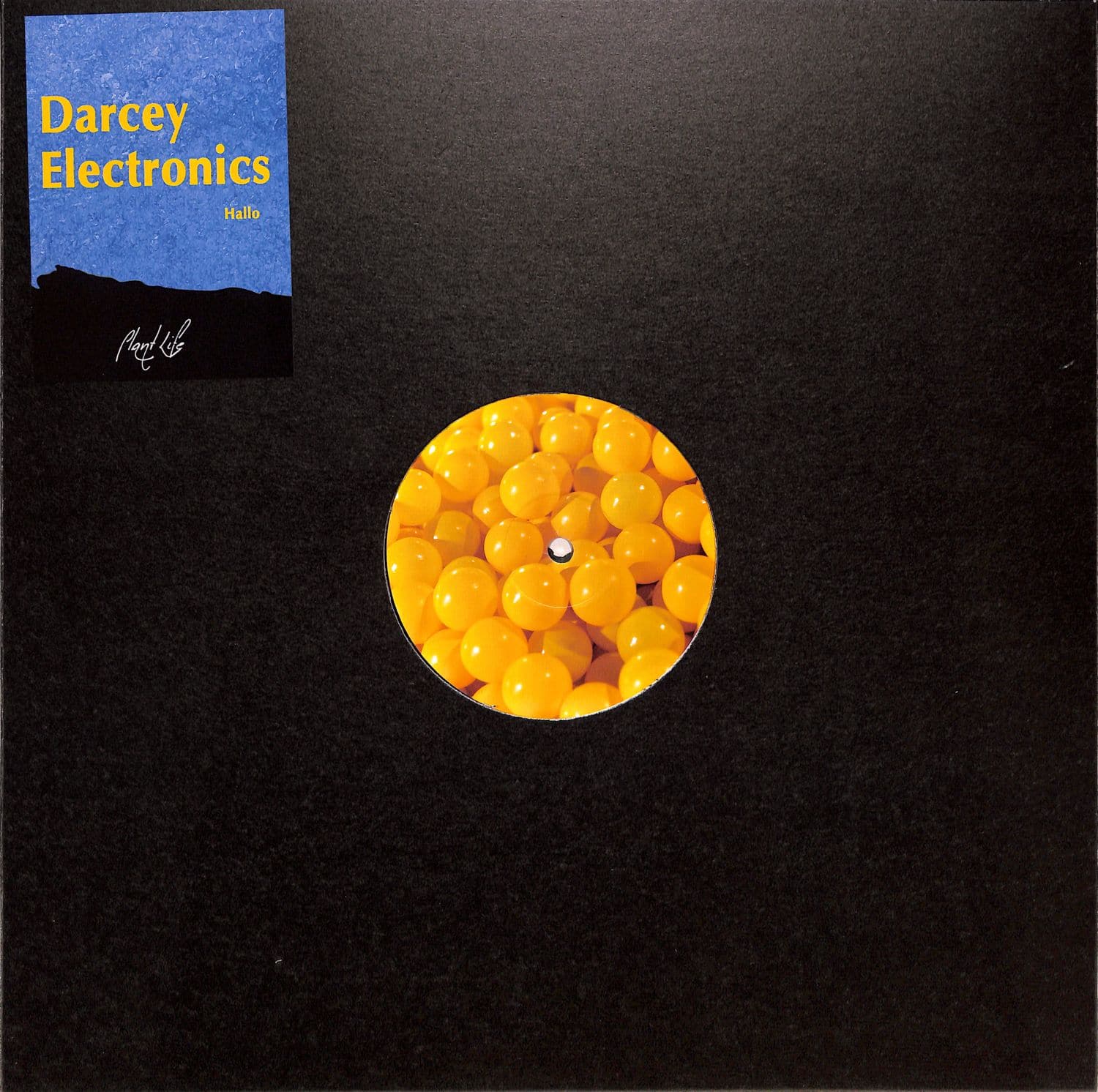 Darcey Electronics - HALLO