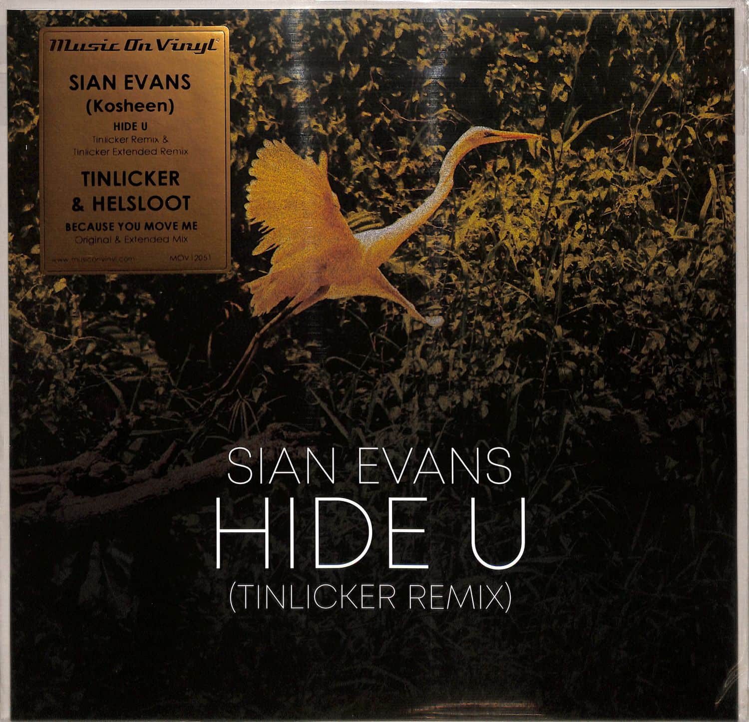 Tinlicker & Helsloot / Sian Evans - BECAUSE YOU MOVE ME / HIDE U 