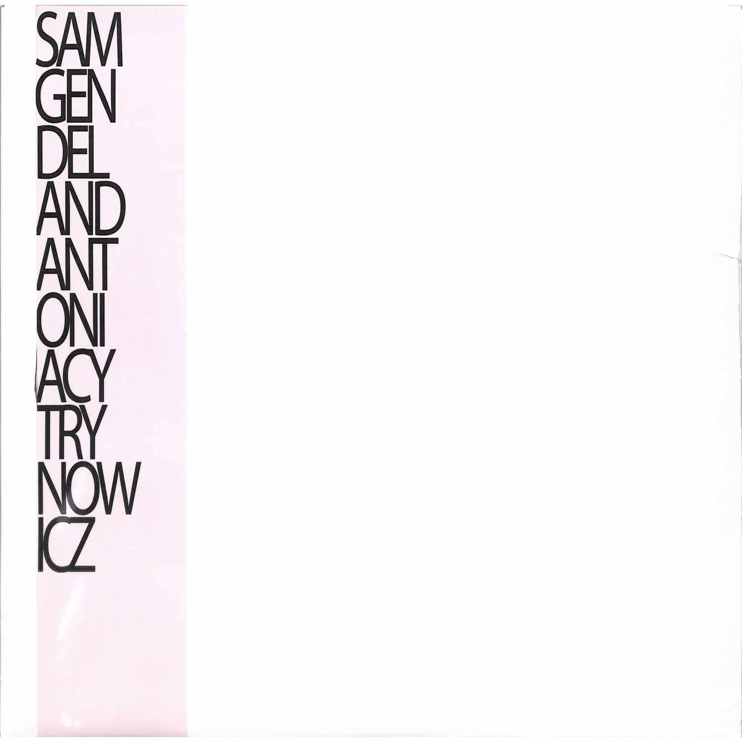 Sam Gendel & Antonia Cytronowicz - LIVE A LITTLE 