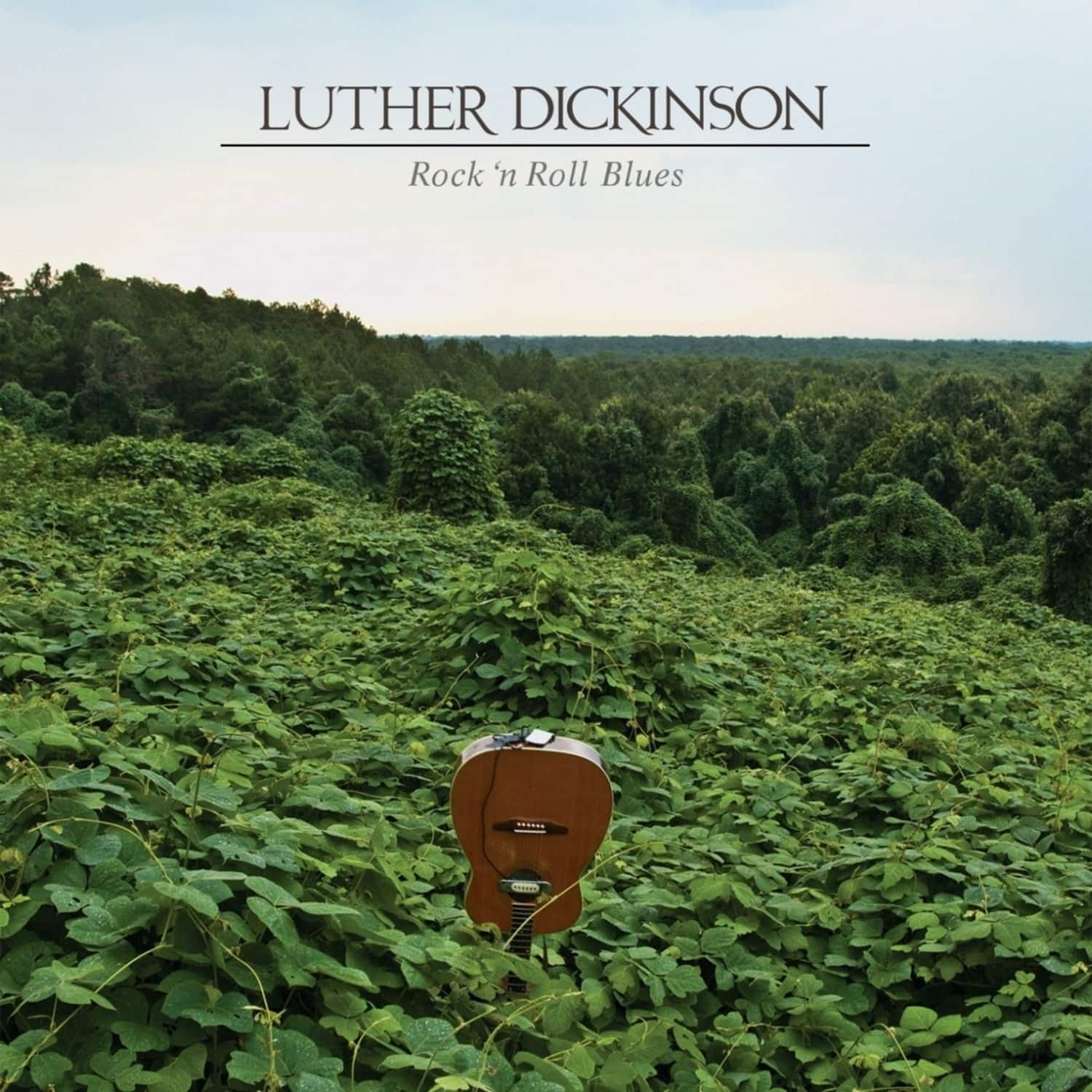  Luther Dickinson - ROCK N ROLL BLUES 
