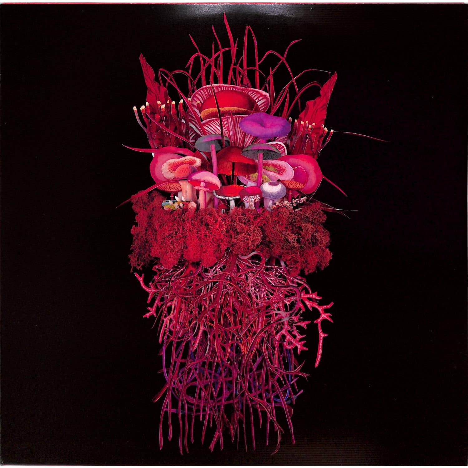 Brian dSouza / Or:la featuring Ro isi n Berkeley - MYCORRHIZAL FUNGI 
