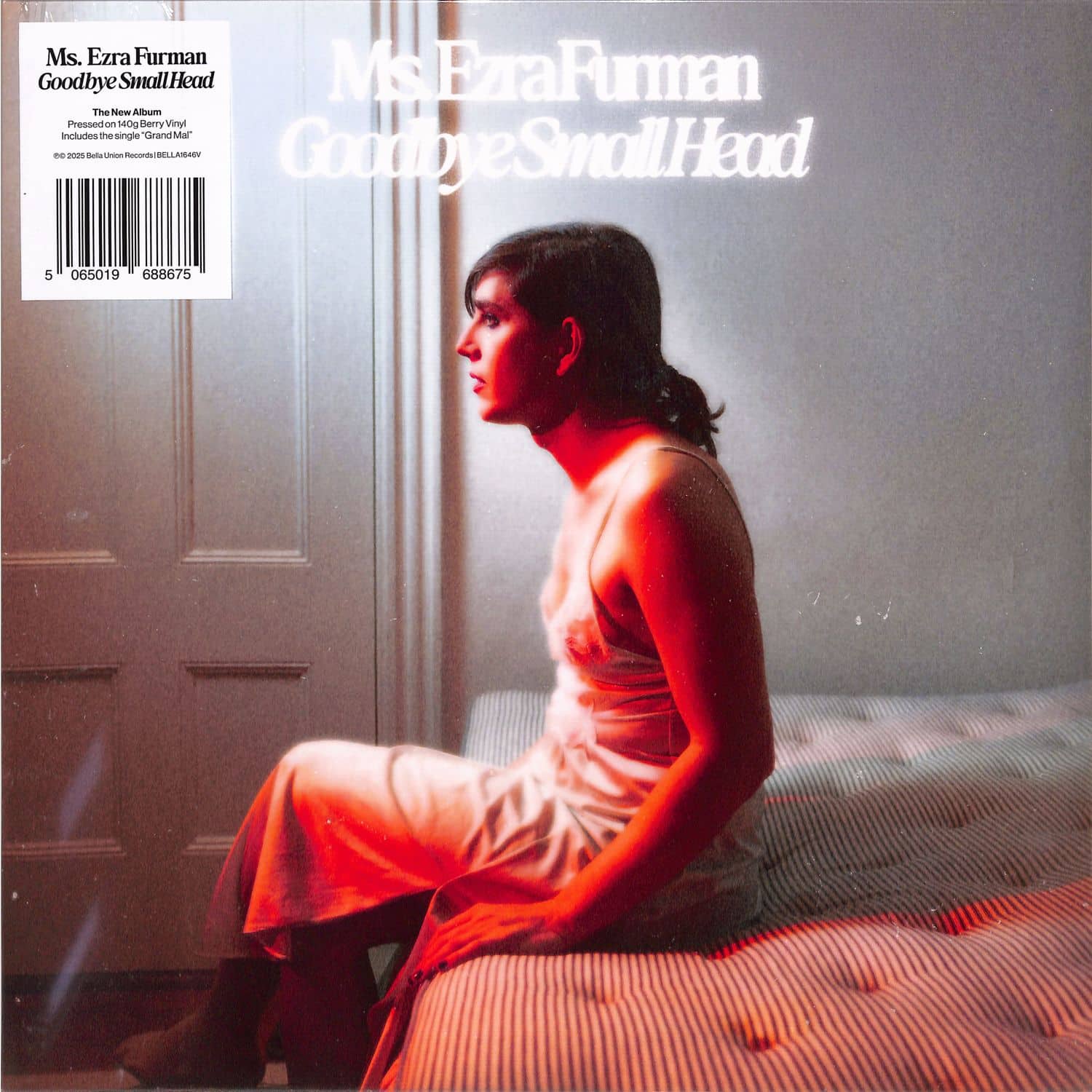 Ezra Furman - GOODBYE SMALL HEAD 