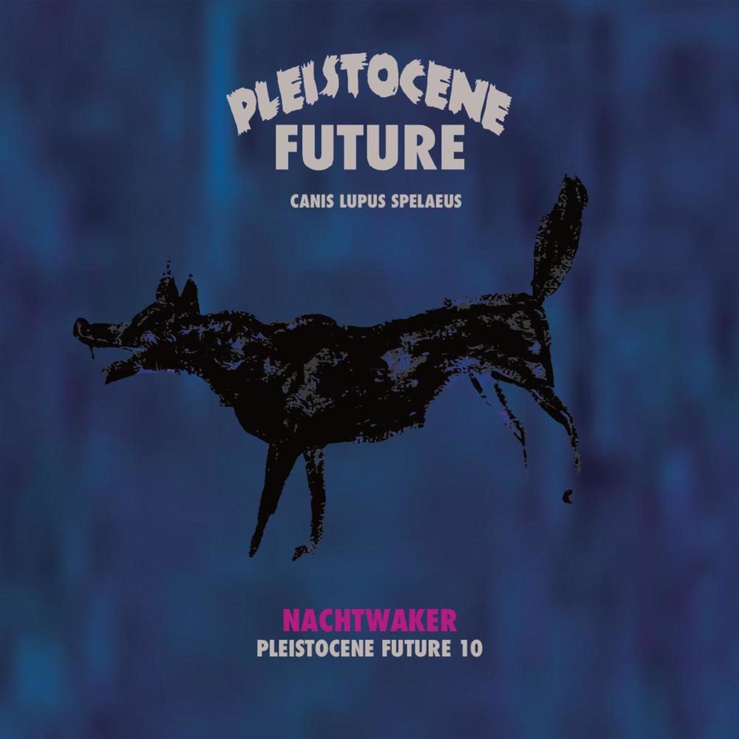 Nachtwaker - PLEISTOCENE FUTURE 10