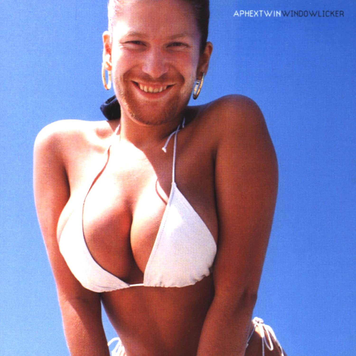 Aphex Twin - WINDOWLICKER