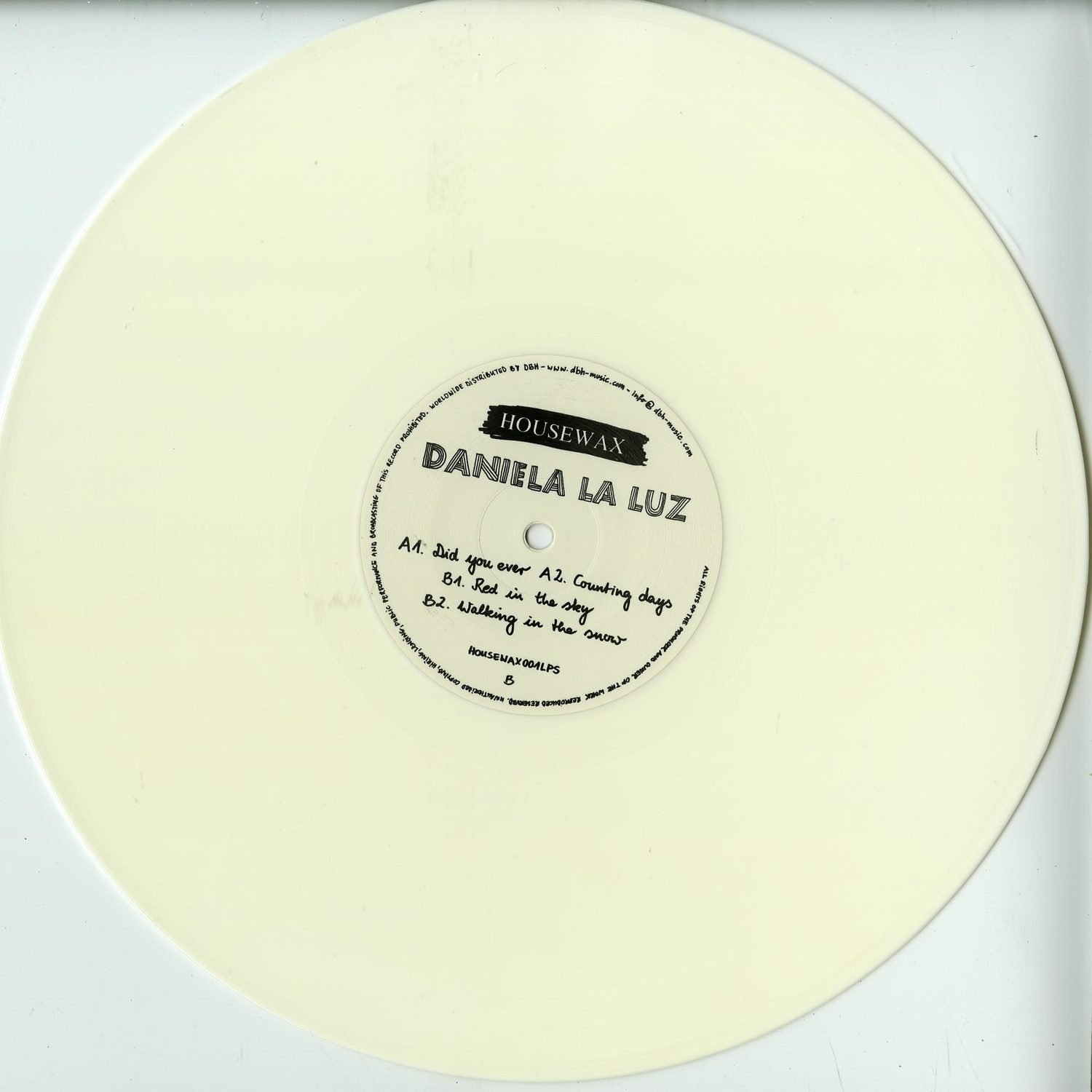 Daniela La Luz - DID YOU EVER - ALBUM PRESAMPLER