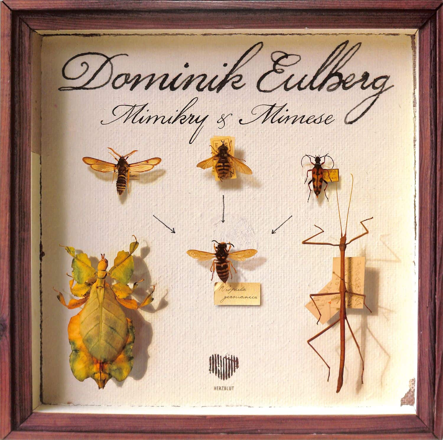 Dominik Eulberg - MIMIKRY & MIMESE EP