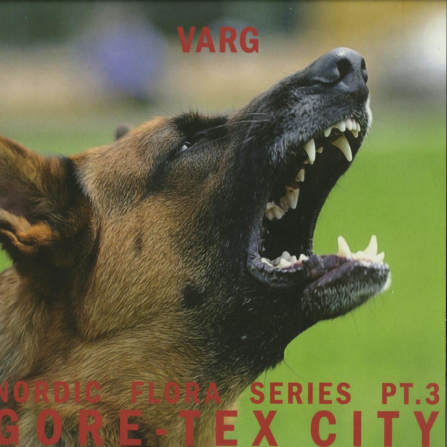 Varg - NORDIC FLORA SERIES PT. 3: GORETEX CITY 