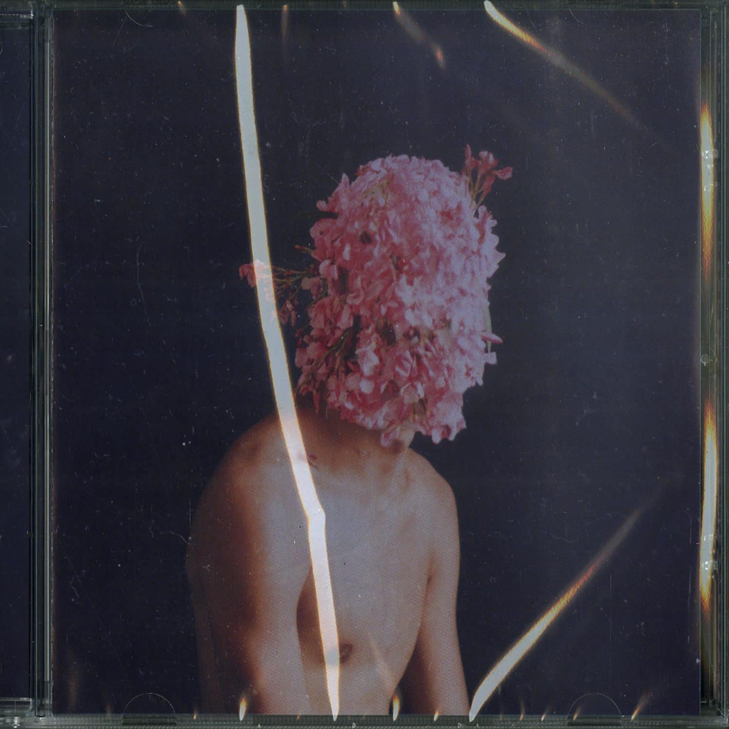 Lake People - PHASE TRANSITION 