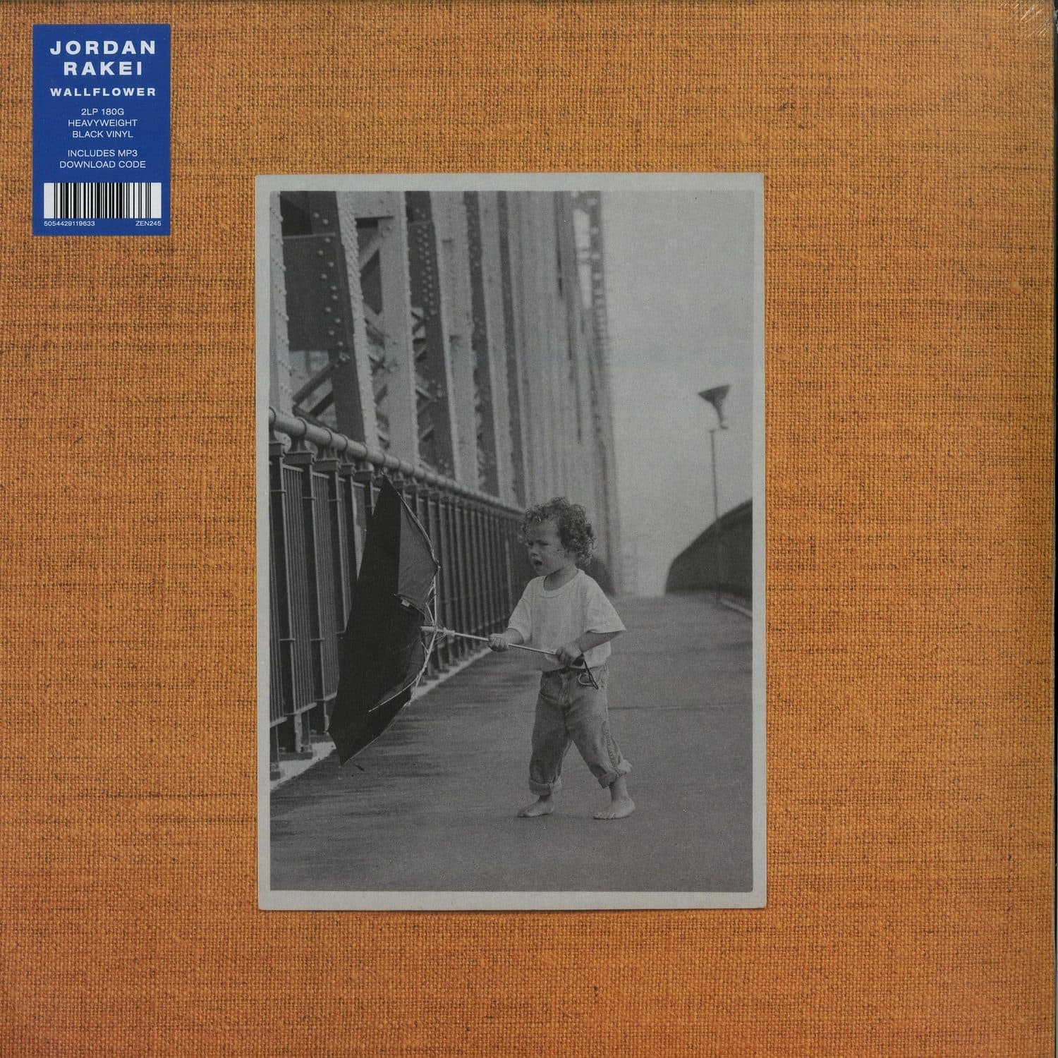 Jordan Rakei - WALLFLOWER 