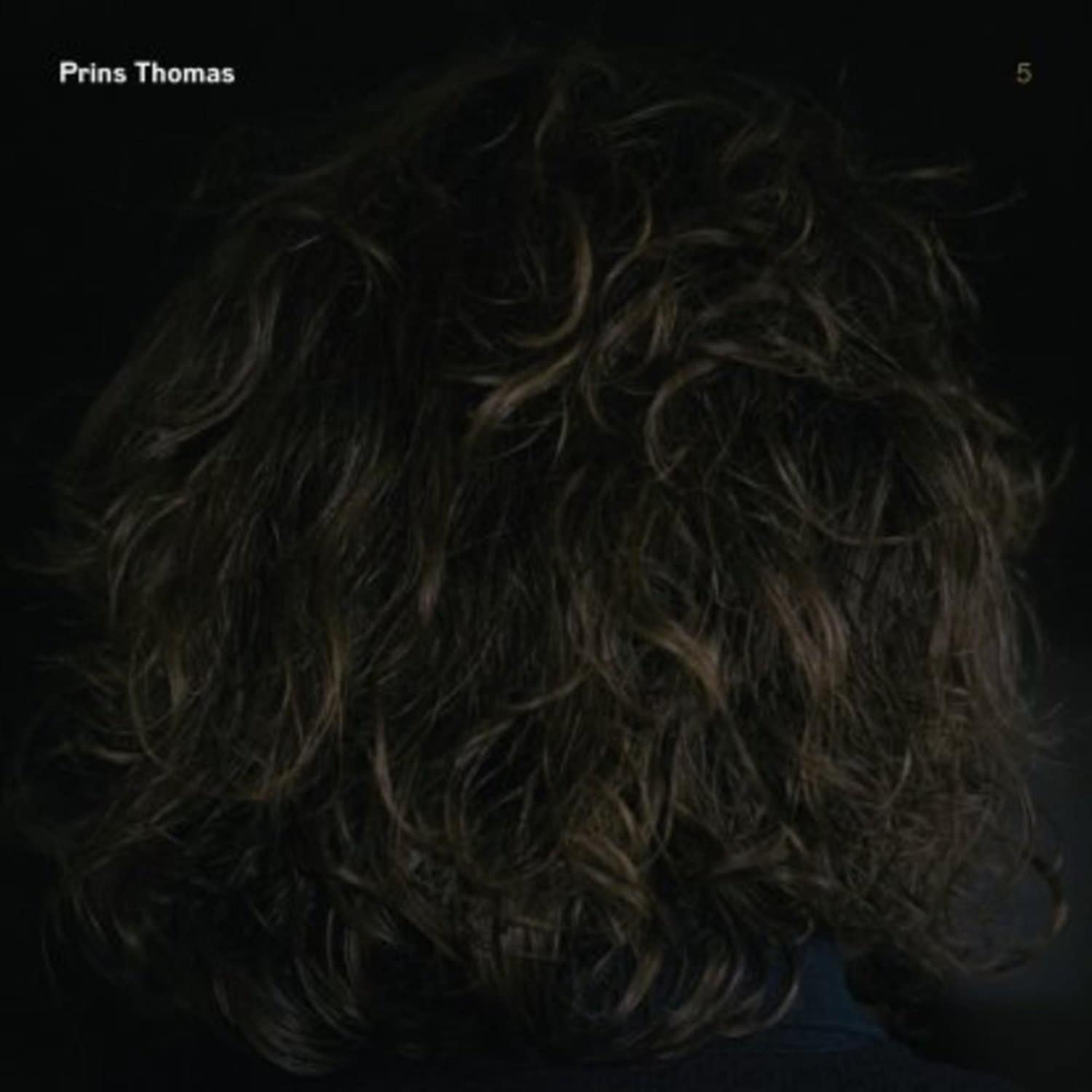 Prins Thomas - PRINS THOMAS 5 