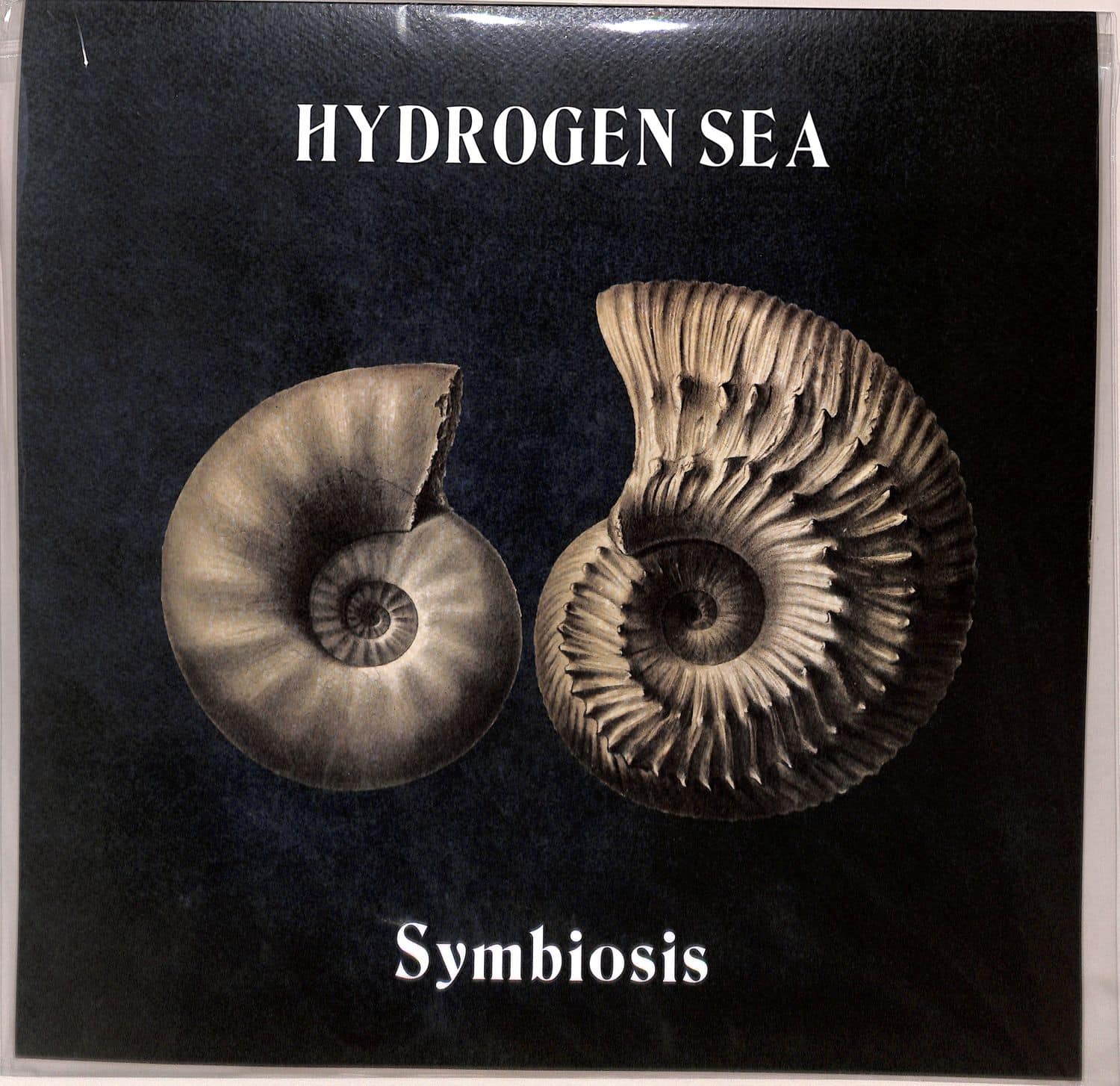 Hydrogen Sea - SYMBIOSIS