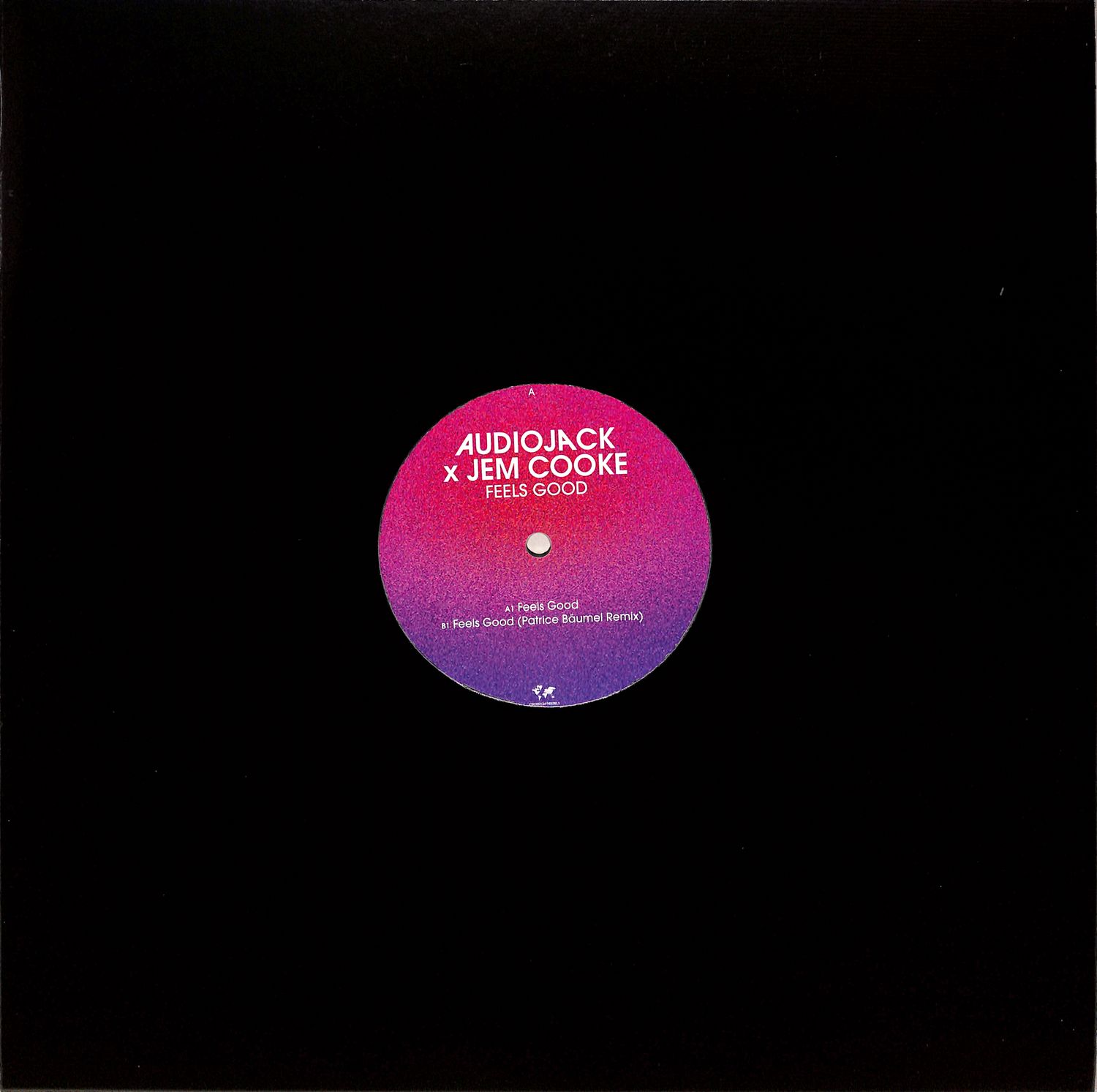 Audiojack x Jem Cooke - FEELS GOOD 