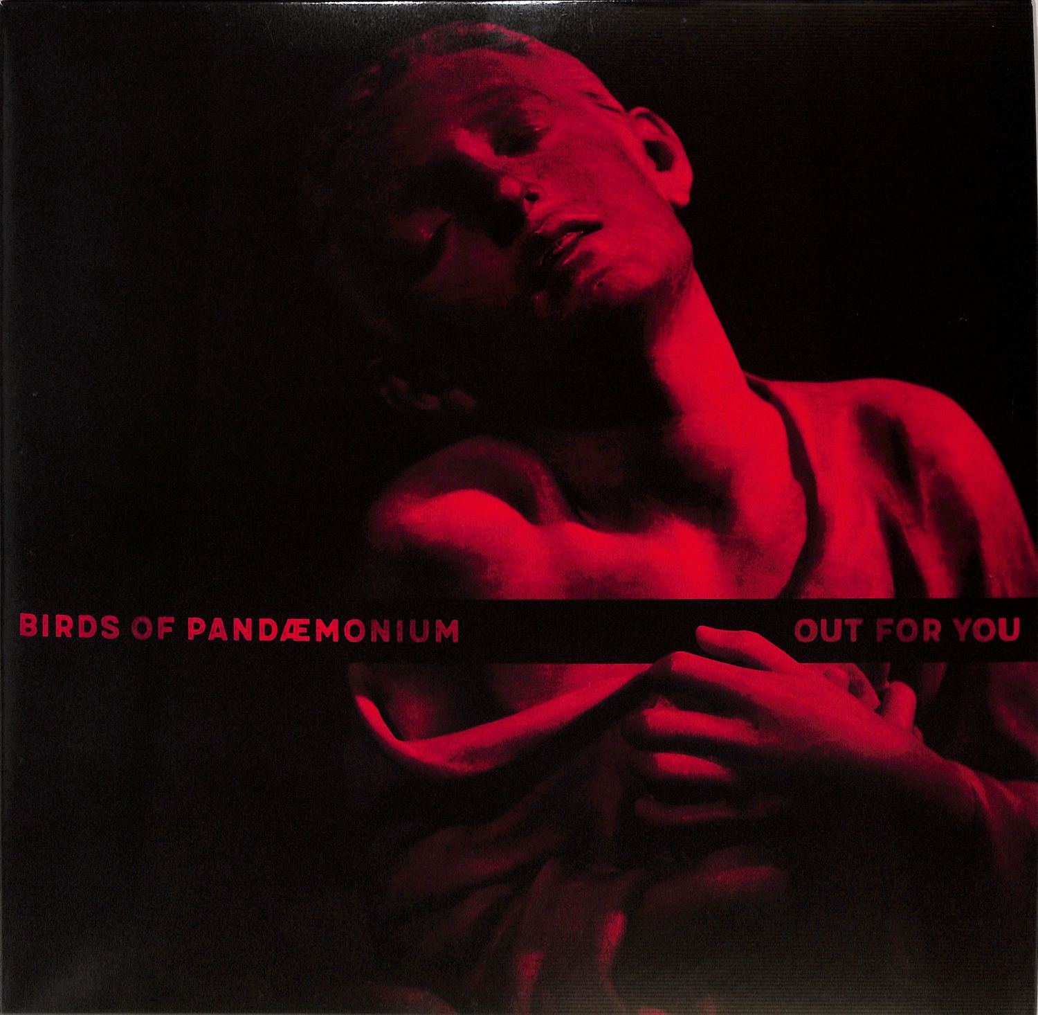 Birds Of Pandaemonium - OUT FOR YOU 