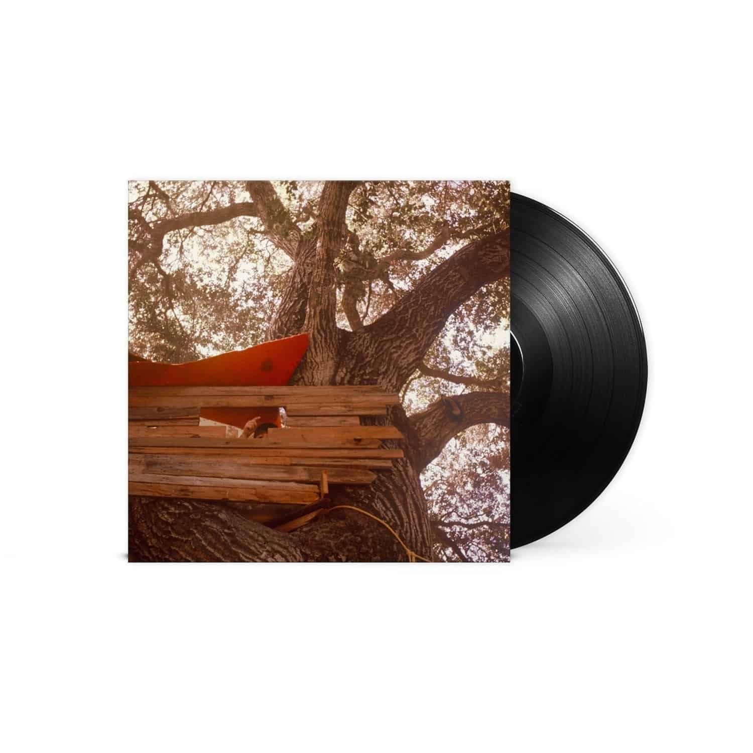 The Backseat Lovers - WAITING TO SPILL 
