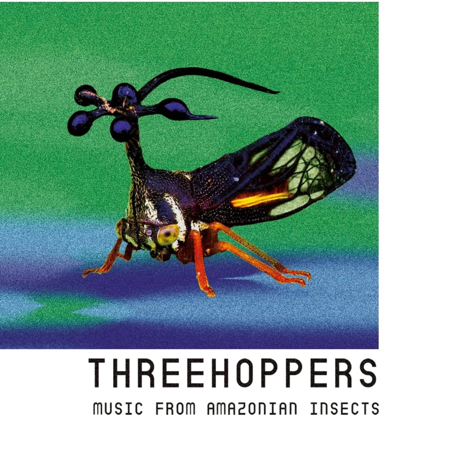 Threehoppers - THREEHOPPERS 