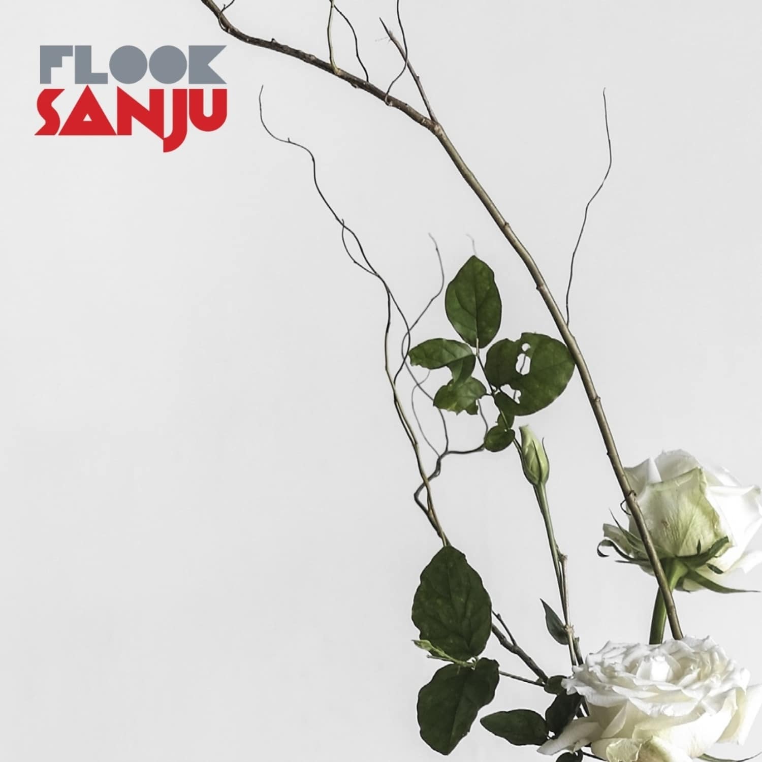 Flook - SANJU 