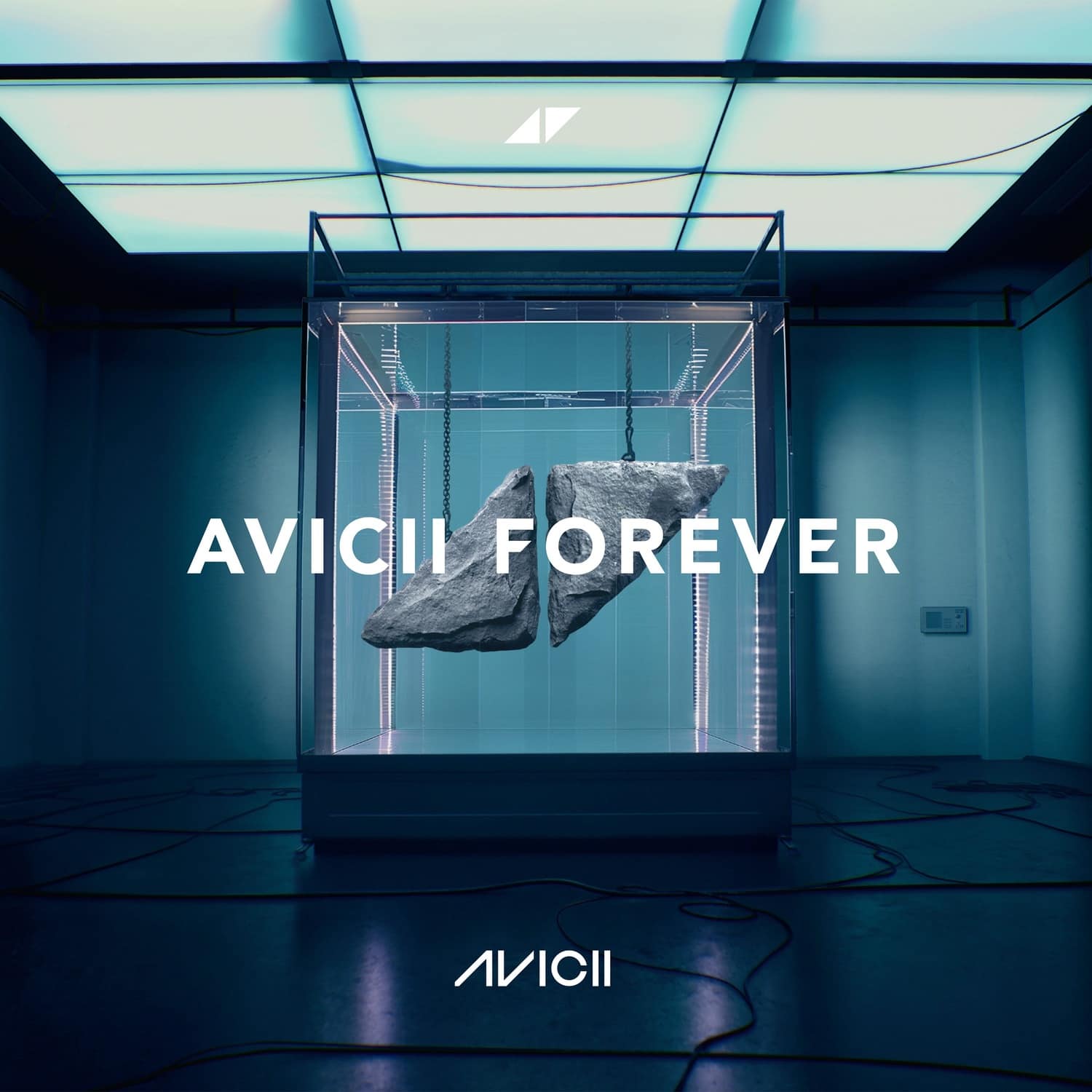 Avicii - AVICII FOREVER 