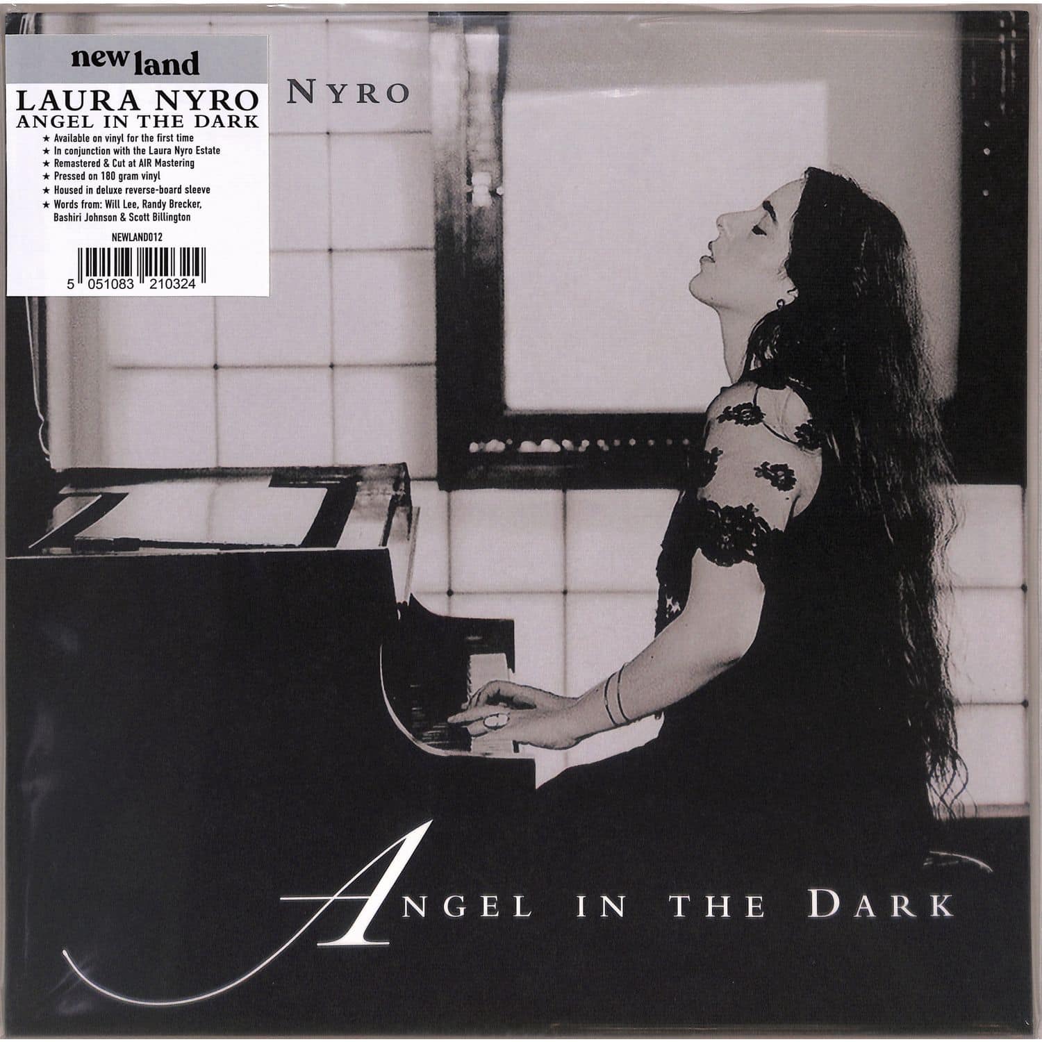 Laura Nyro - ANGEL IN THE DARK 