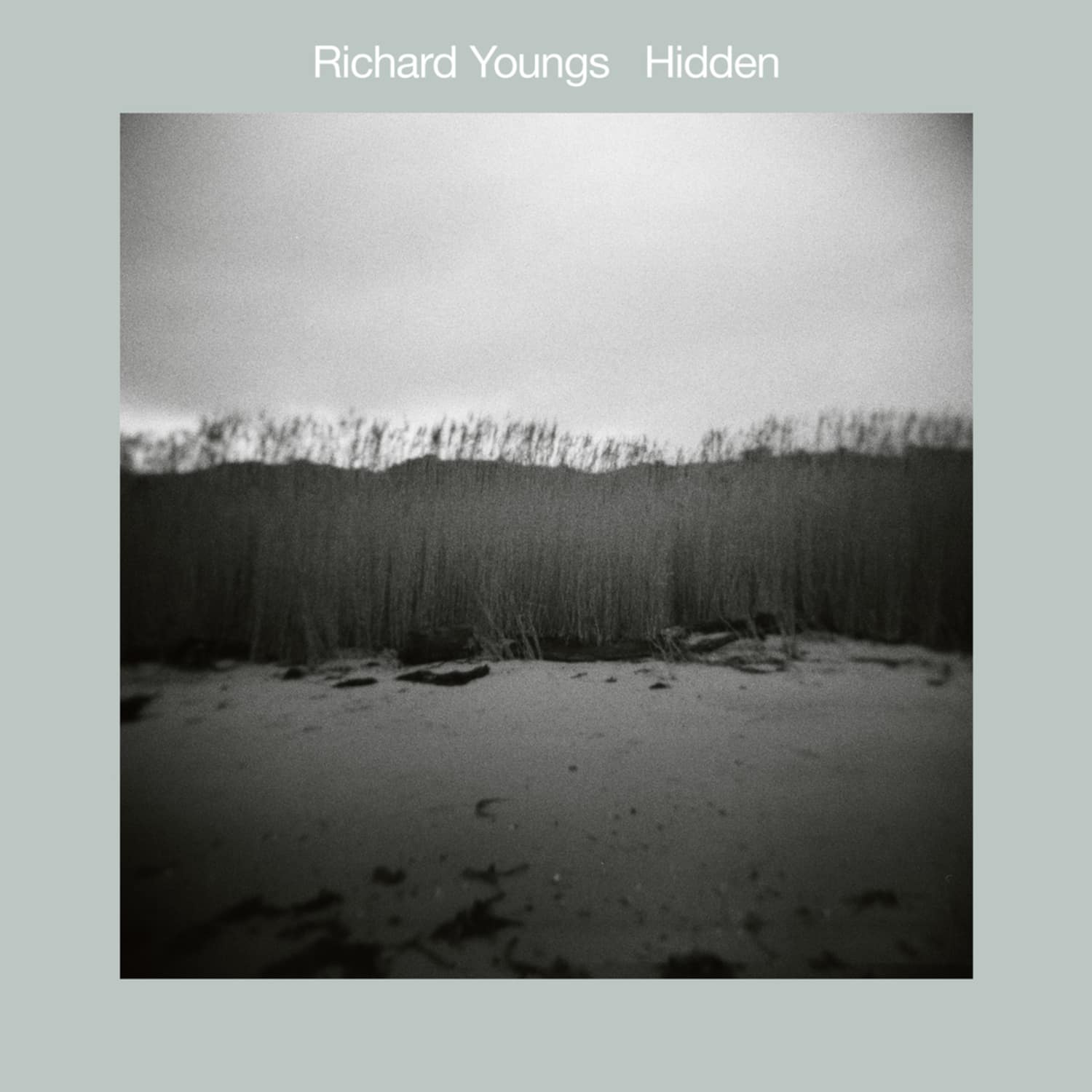 Richard Youngs - HIDDEN