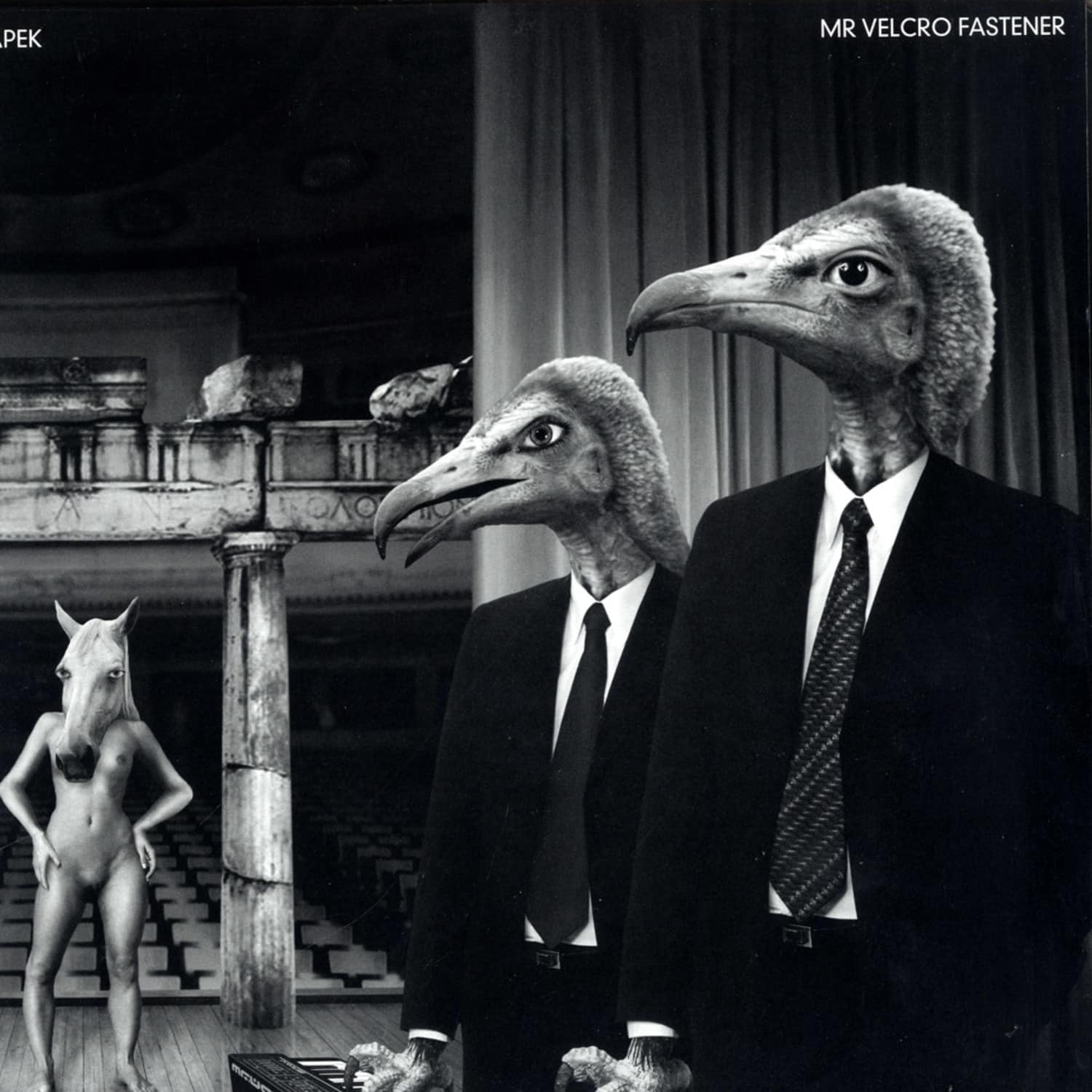 Mr Velcro Fastener - CAPEK