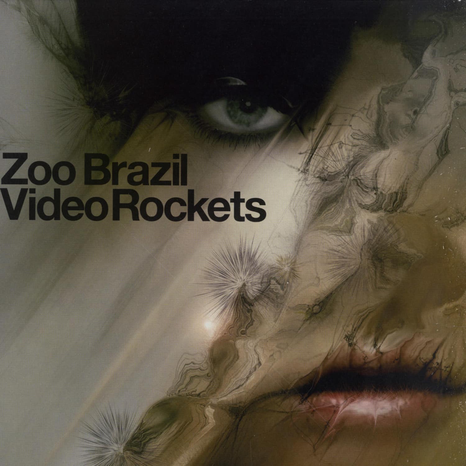 Zoo Brazil - VIDEO ROCKETS