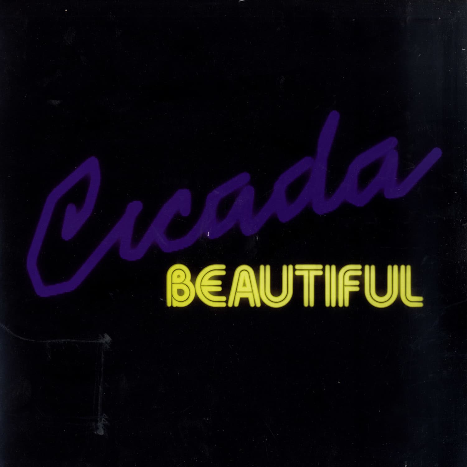 Cicada - BEAUTIFUL