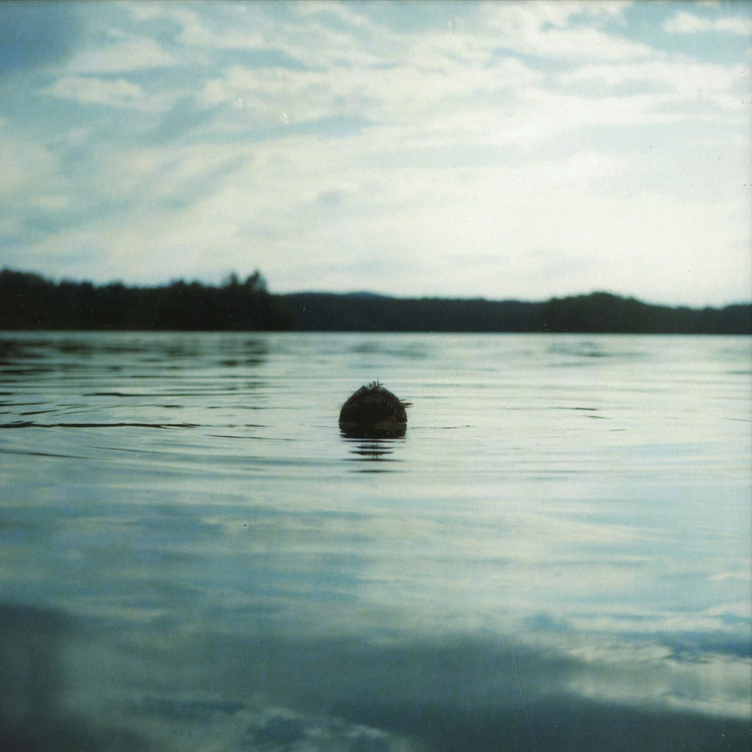 The Analog Roland Orchestra - GROWN