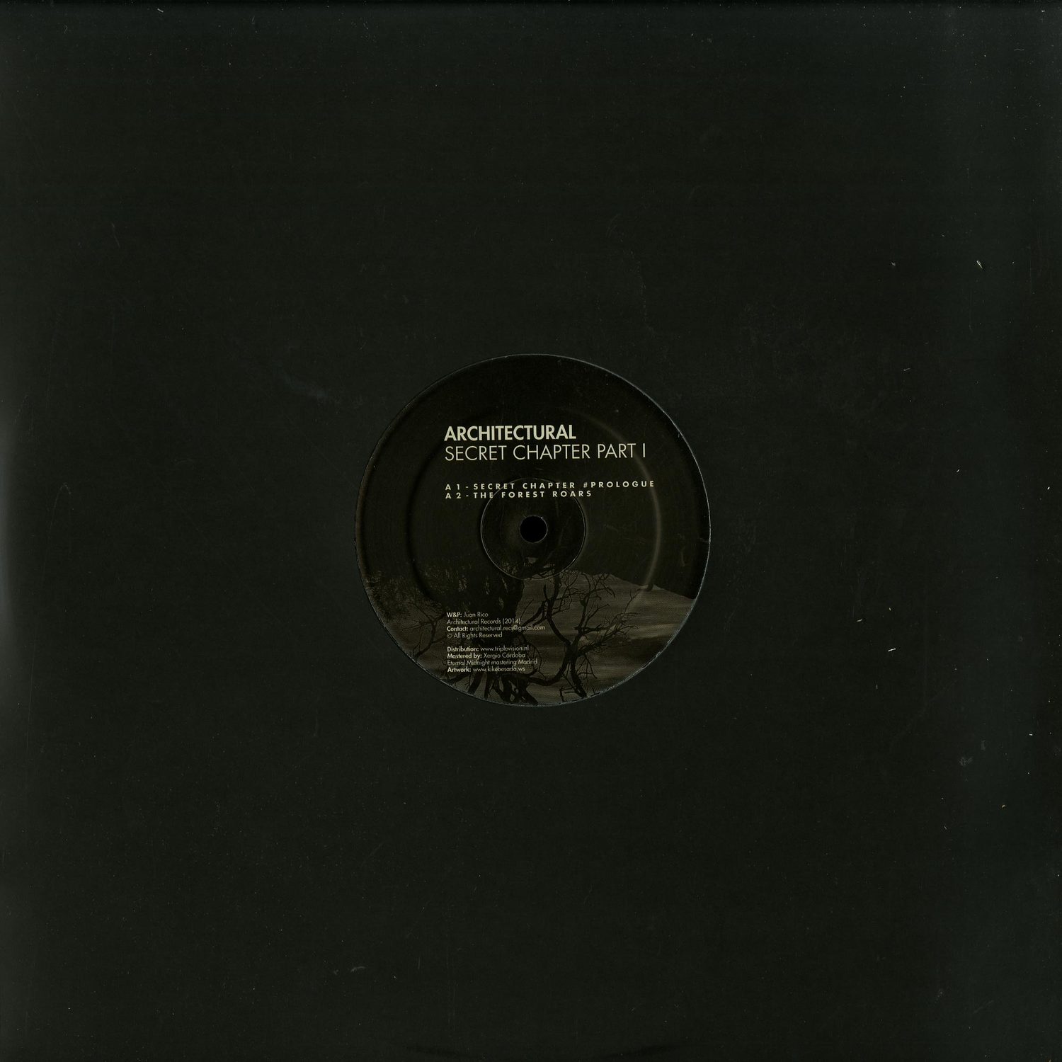 Architectural - SECRET CHAPTER PART 1