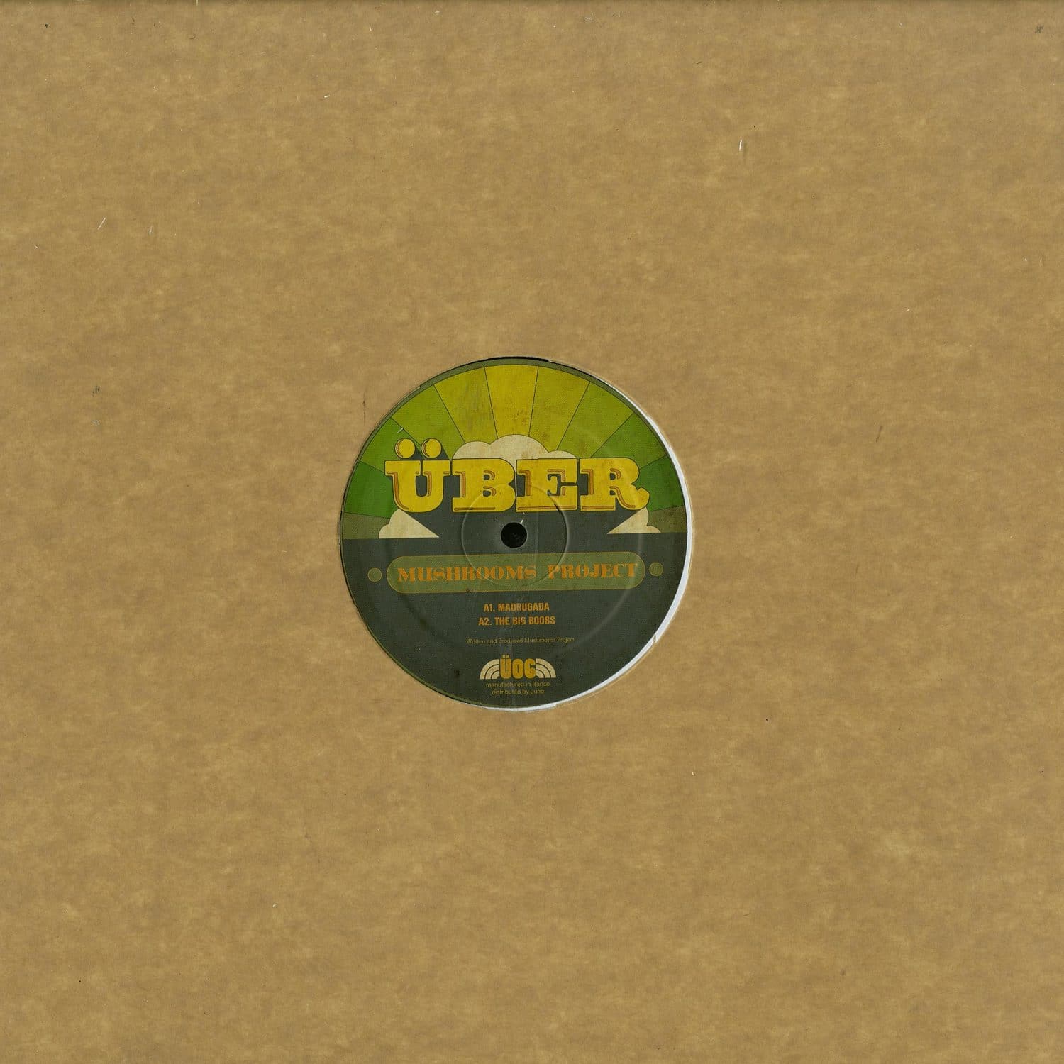 Mushrooms Project - AFRICAN OBSESSION